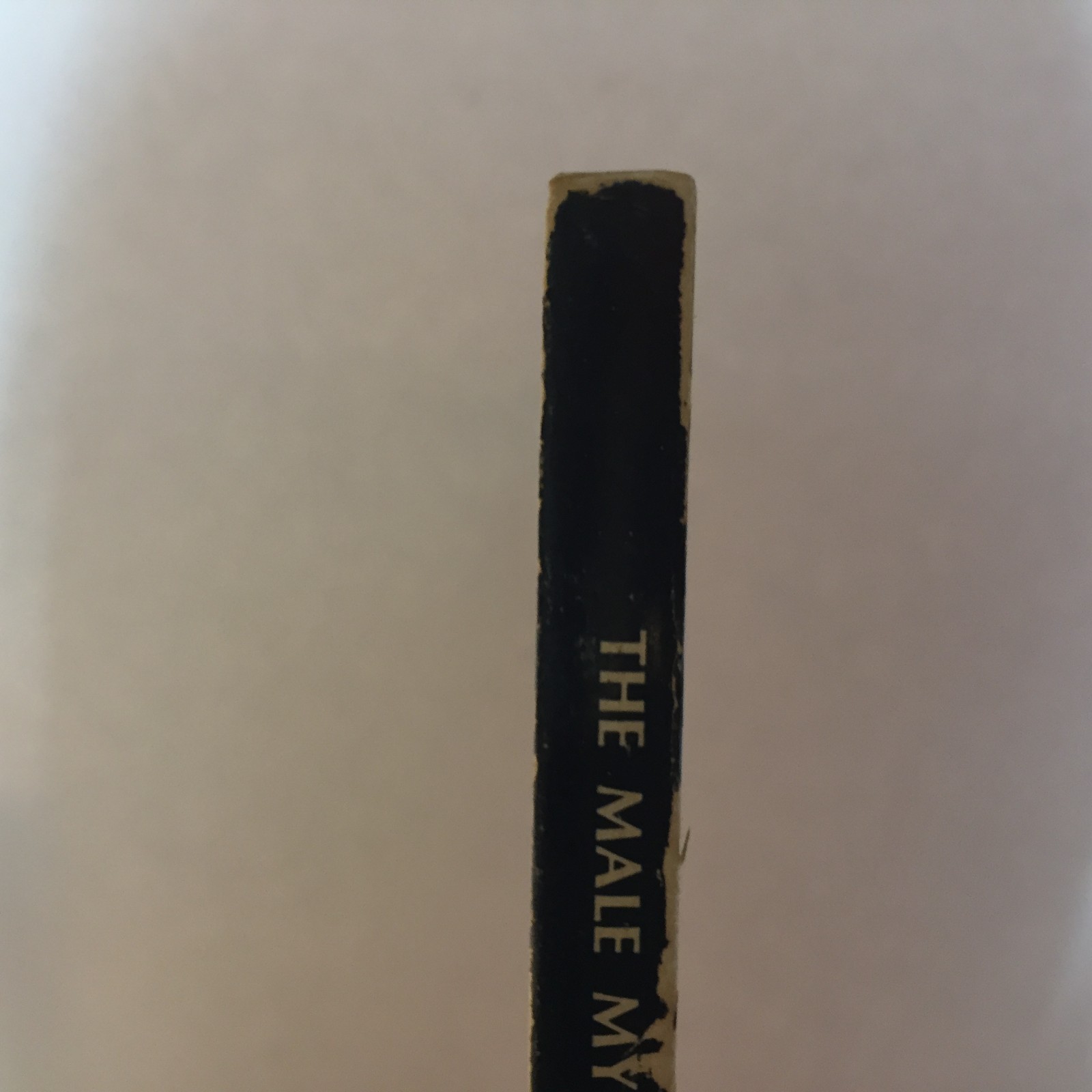 The Male Mystique Urban G Steinmetz 1970 Ave Maria Press Marriage Expectations
