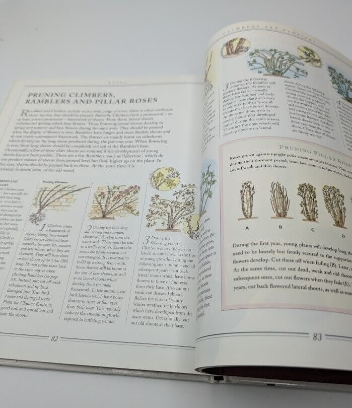Practical Gardening Roses David Squire PB 1995 Complete Illustrated Plant Guide