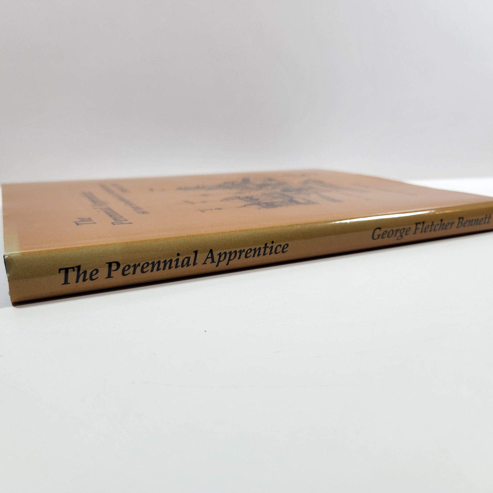 Perennial Apprentice 60 Years Achitecture Delaware History 1916 to 1976 Bennett