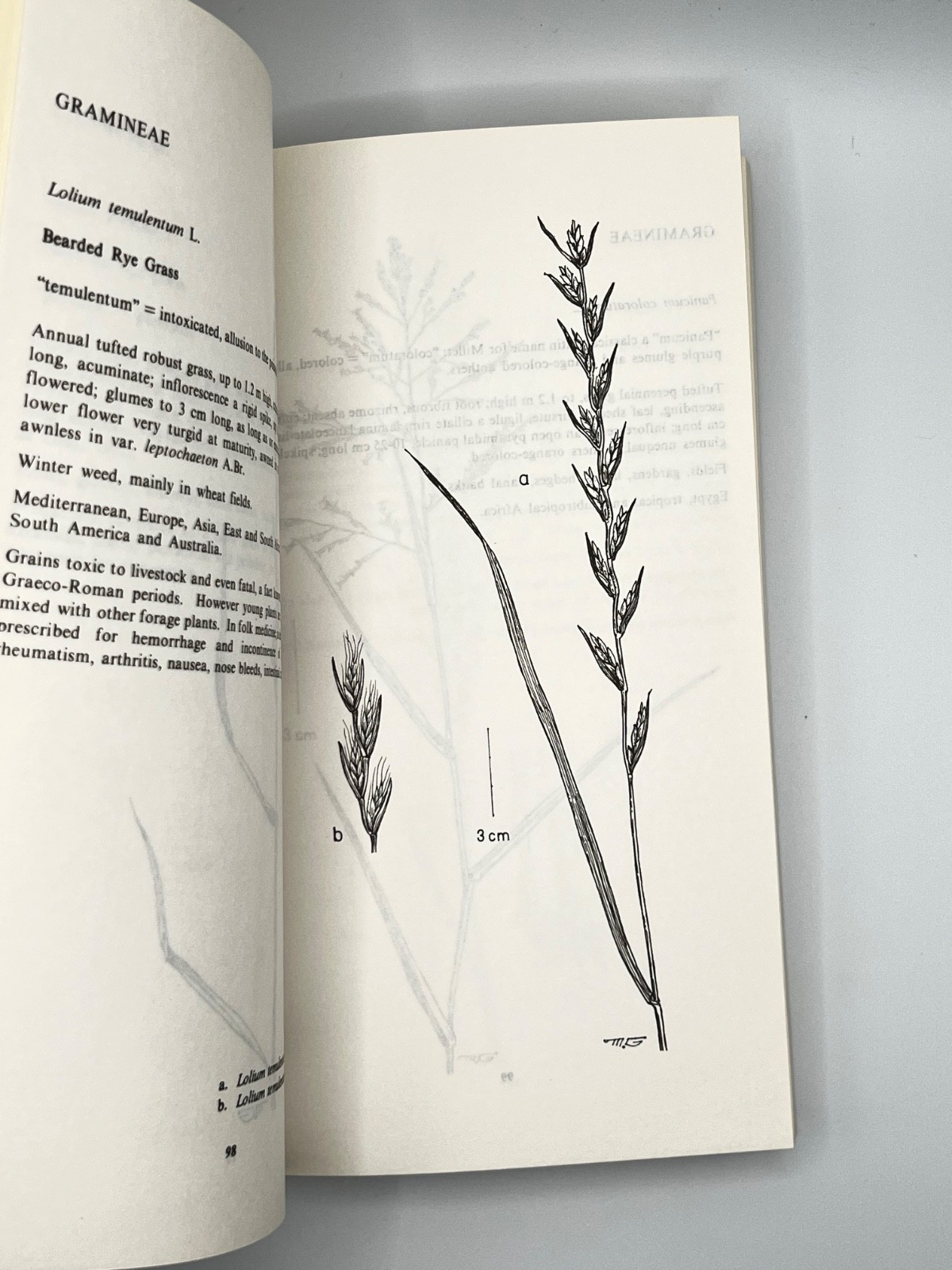 The Weed Flora Of Egypt 1984 By Loutfy Boulos & M. Nabil eL-Hadidi TPB Botany