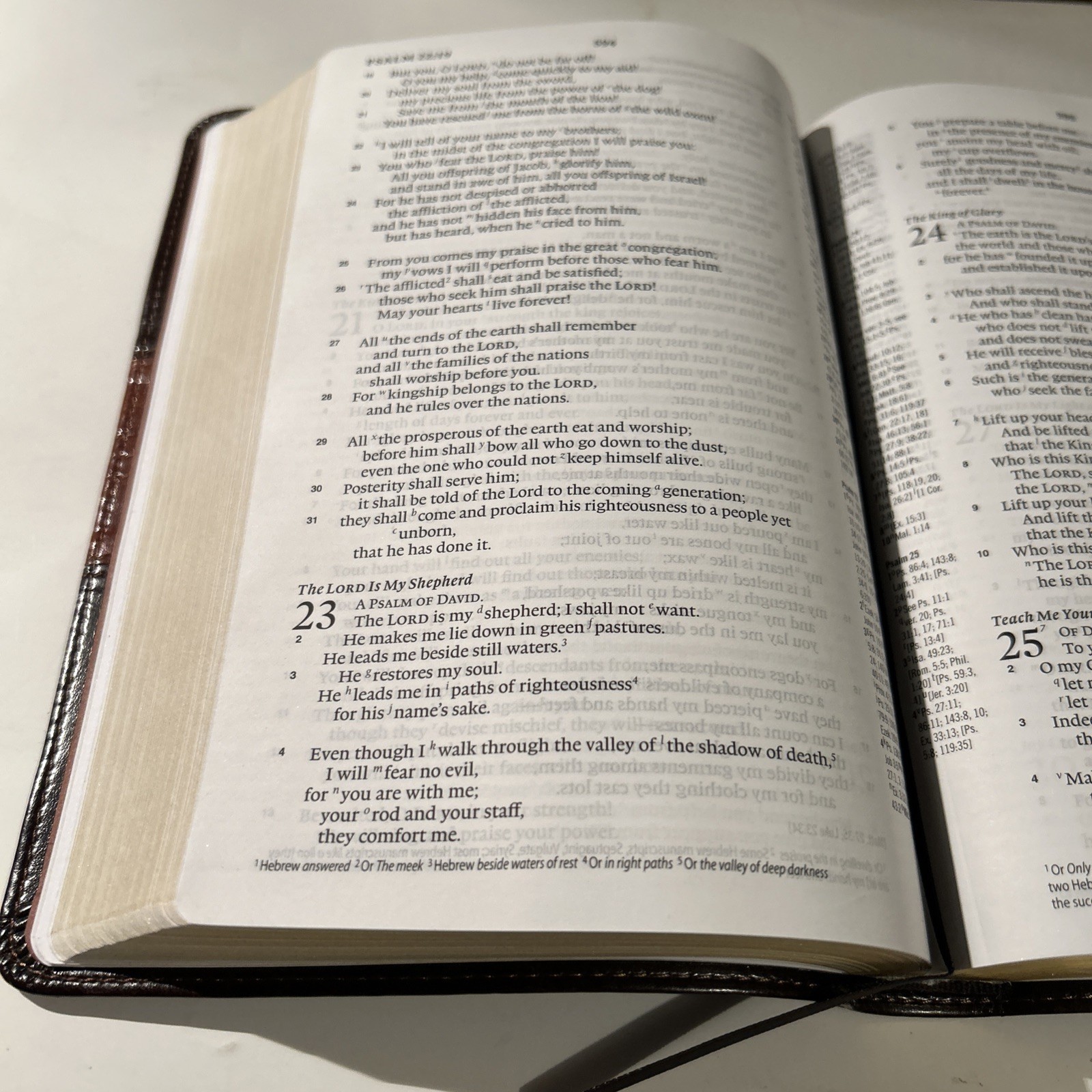 ESV Personal Reference Holy Bible Brown Tan Tru-Tone Single Column Side Ref.