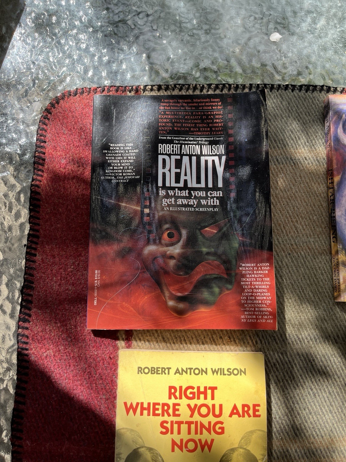 Robert Anton Wilson Book Lot