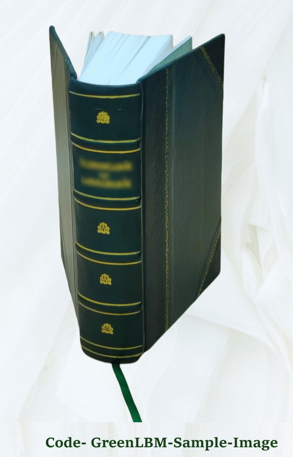 Die Petrefactenkunde auf ihrem jetzigen Standpunkte durch die Be [Leather Bound]