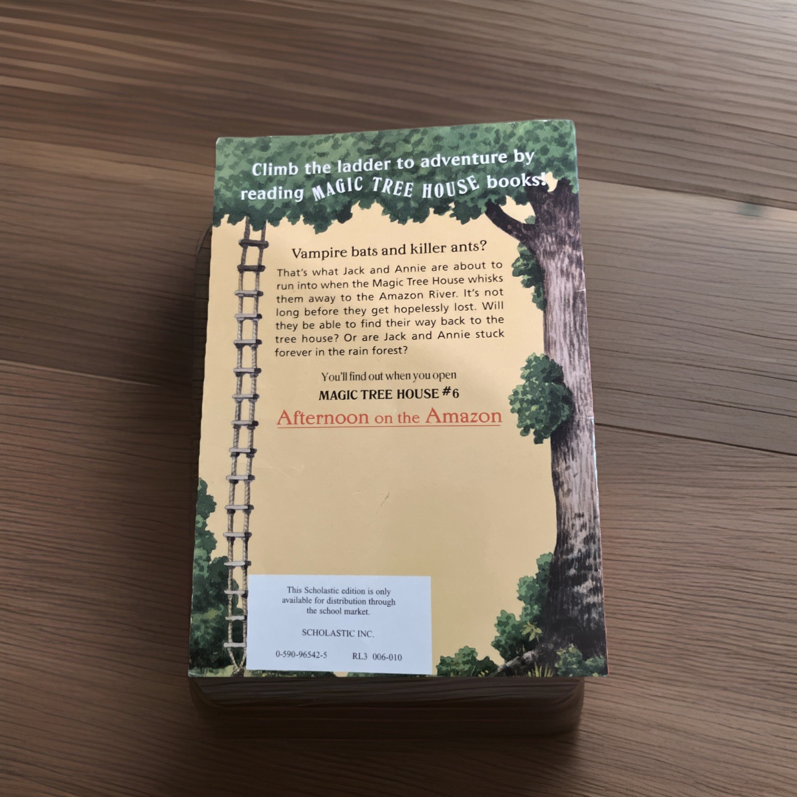 Magic Tree House “Afternoon on the Amazon” #6 Merlin Missions Vintage, 1995 Pub