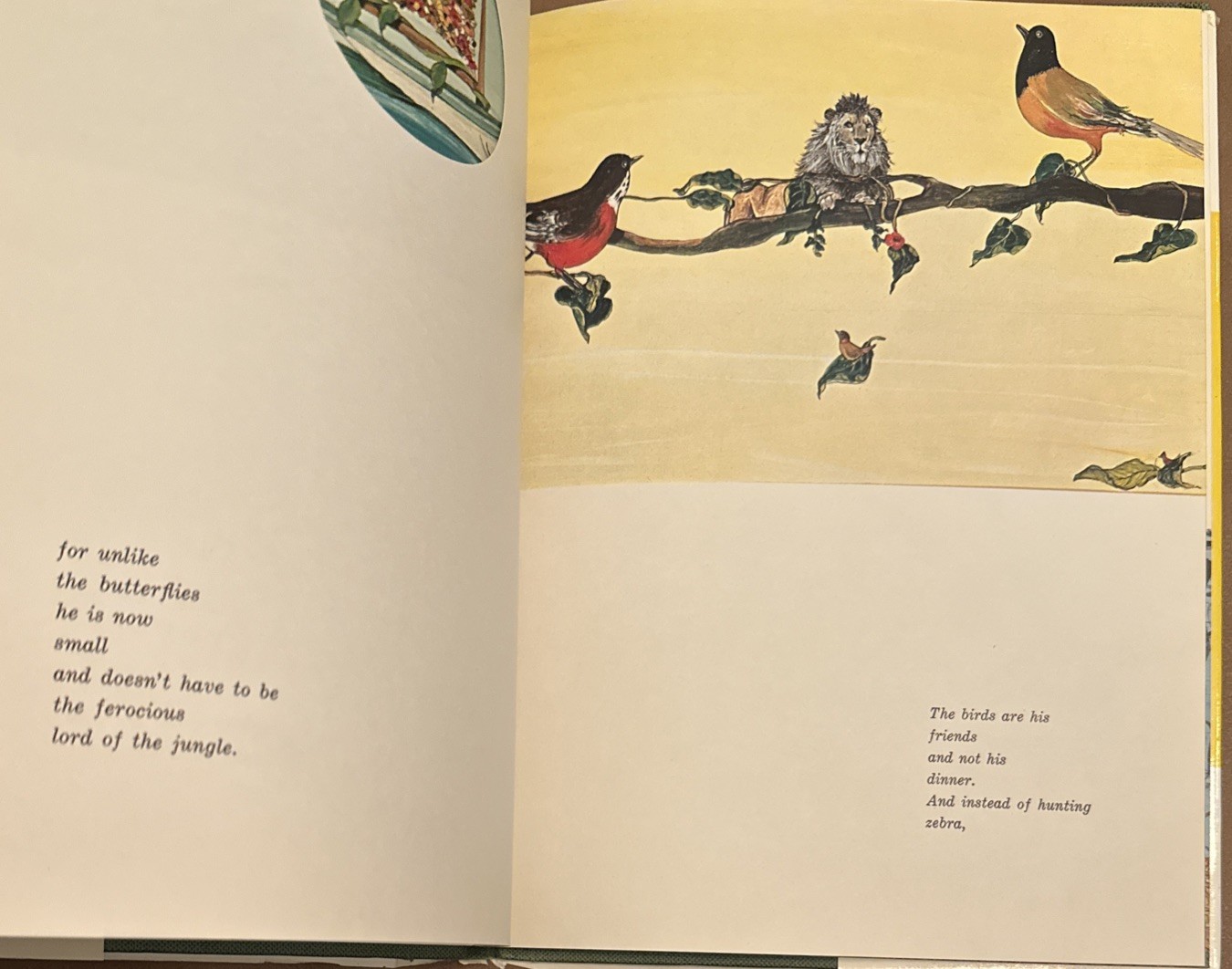 Tiger Flower by Robert Vavra Illustrated by Fleur Cowles 1968 HC/DJ First UK ED