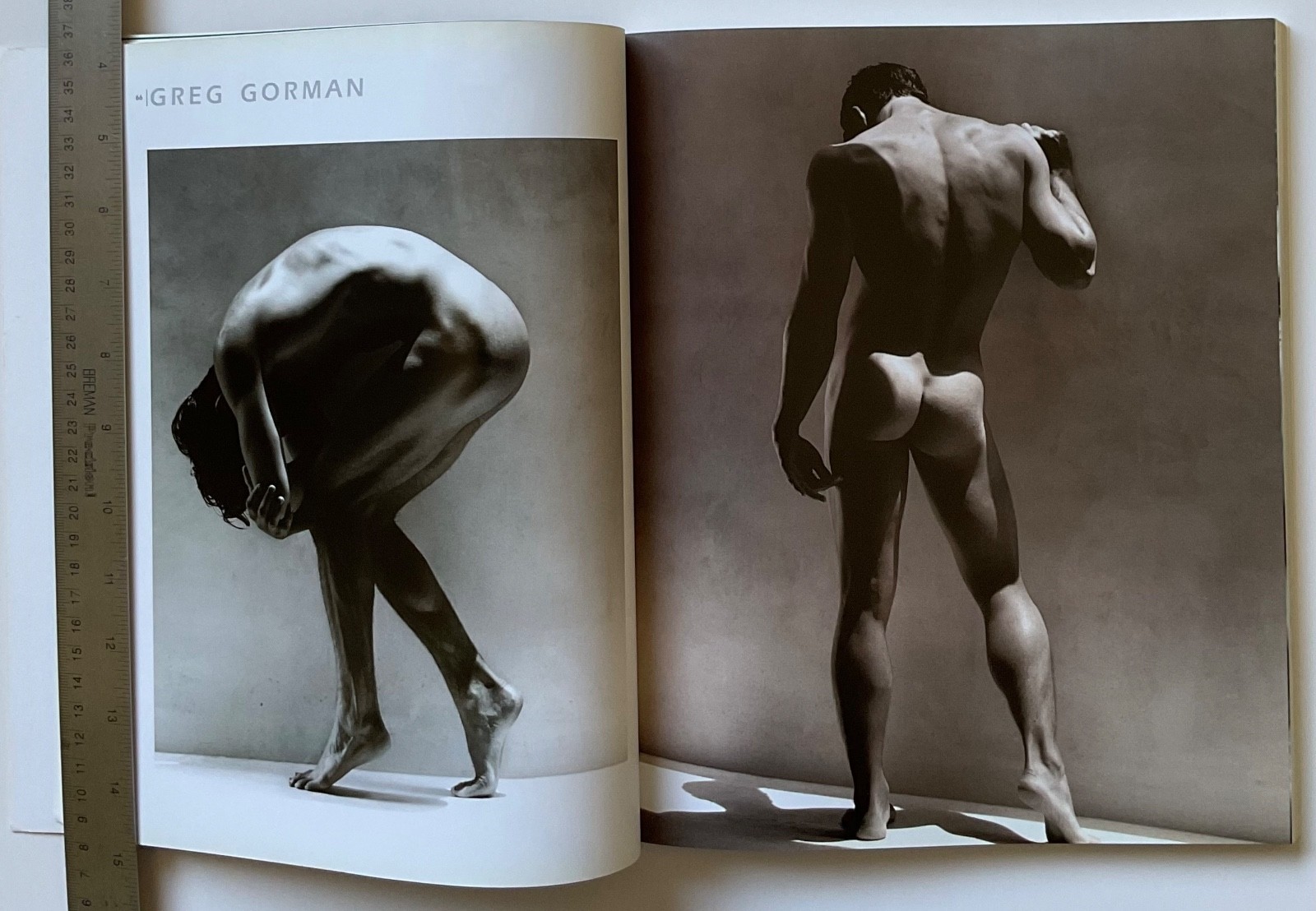 ADONIS Masterpieces of Erotic Male Photography OOP 1999 Book HERB RITTS ++++