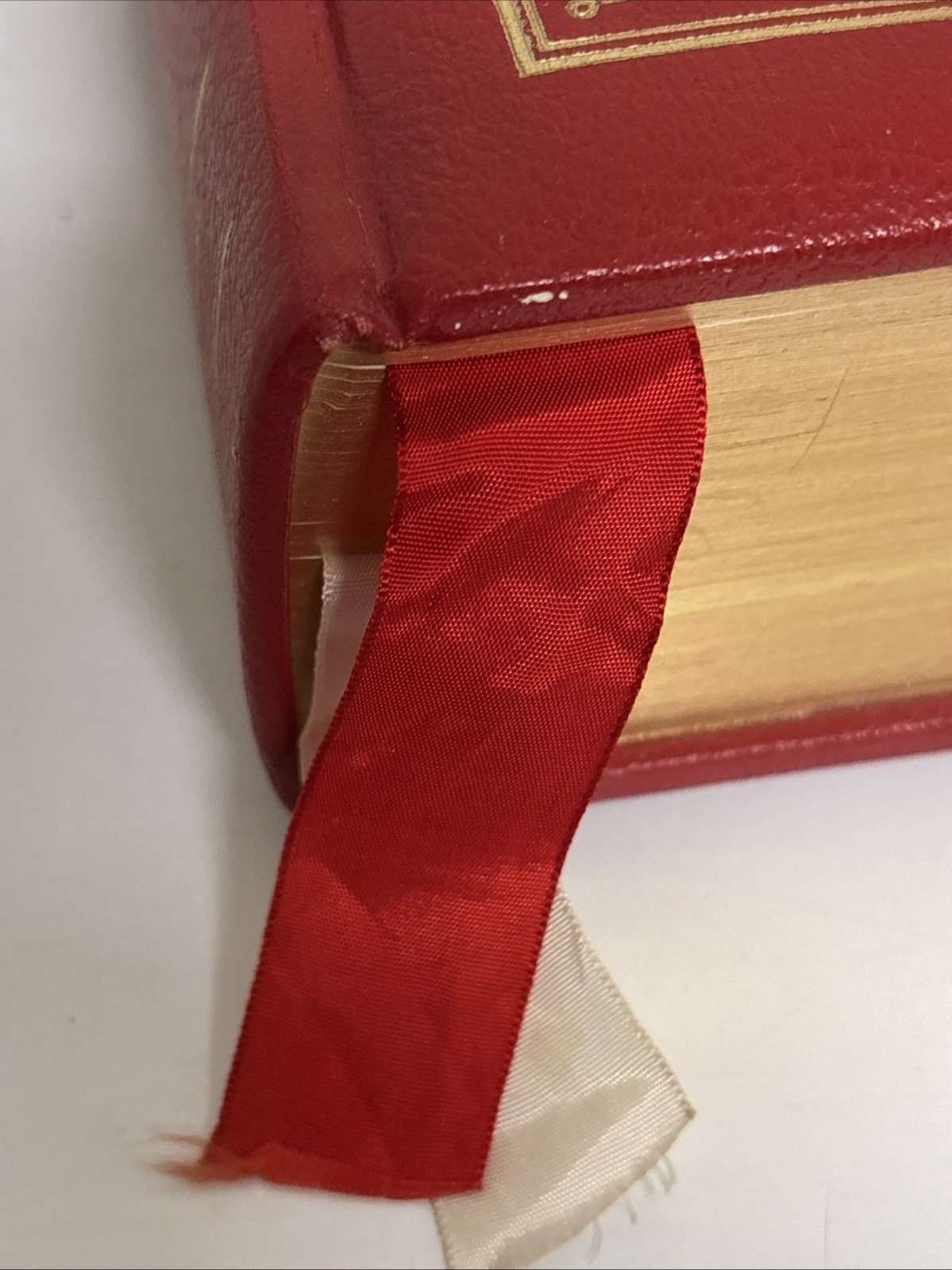 Holy Bible NAB Red. The New American Bible. Catholic Press World