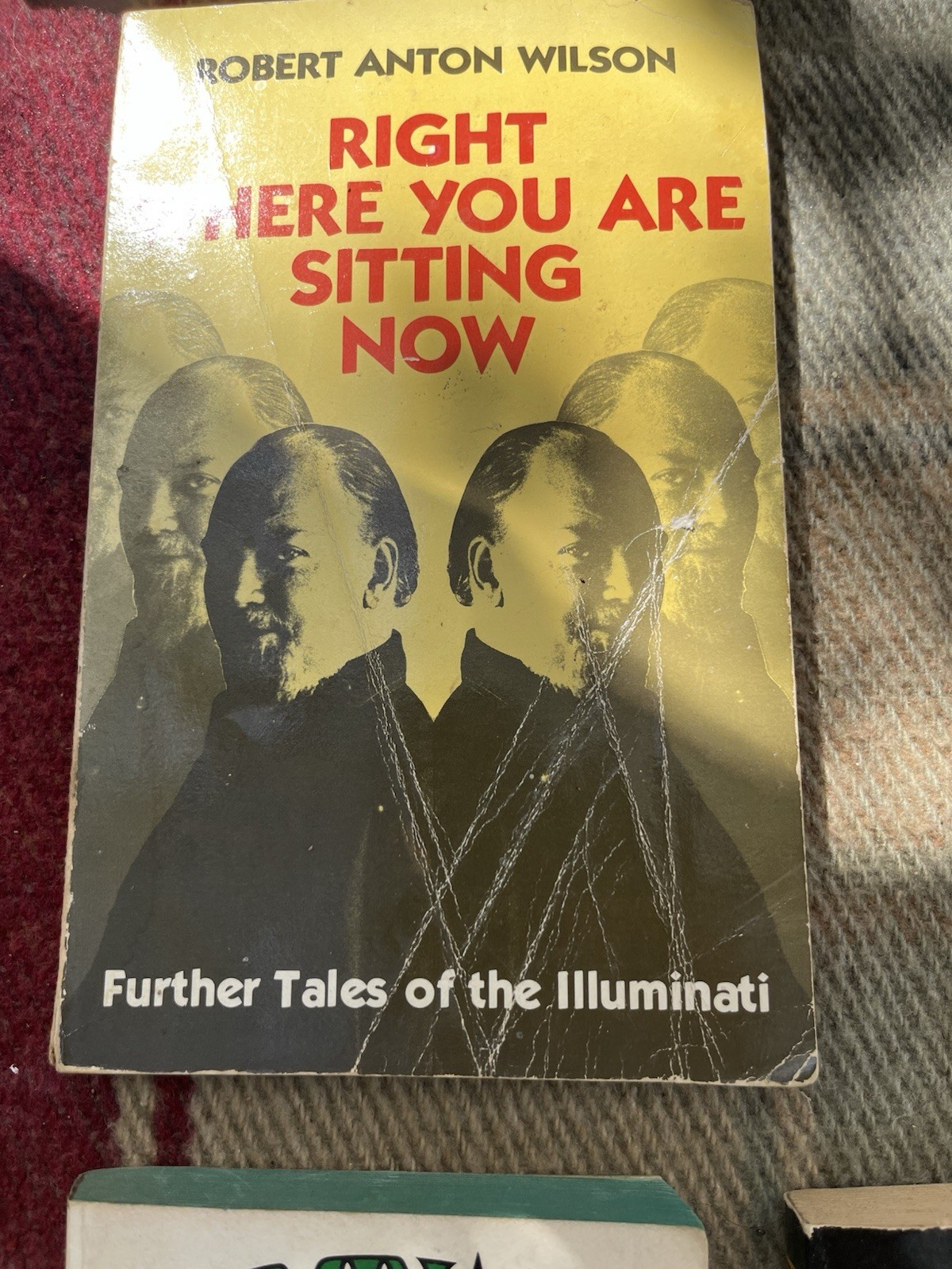 Robert Anton Wilson Book Lot