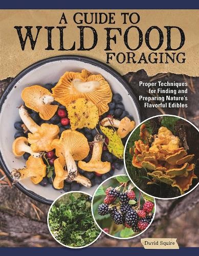 David Squire A Guide to Wild Food Foraging (Paperback)
