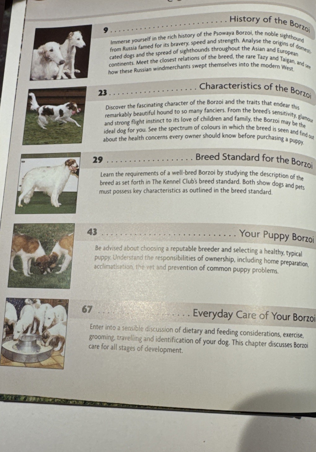 Borzoi By Dr. Desiree Scott 155 Page Book 2002 Interpet Publishing 135 Pictures