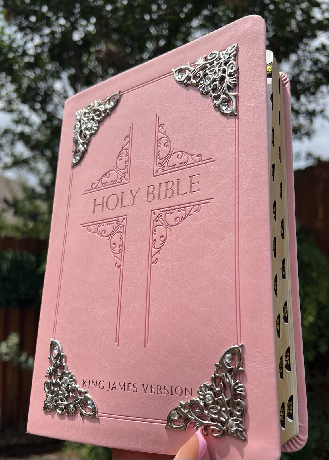 Pink KJV Giant Print Bible: Thumb Indexed Faux Leather Silver Embellishments