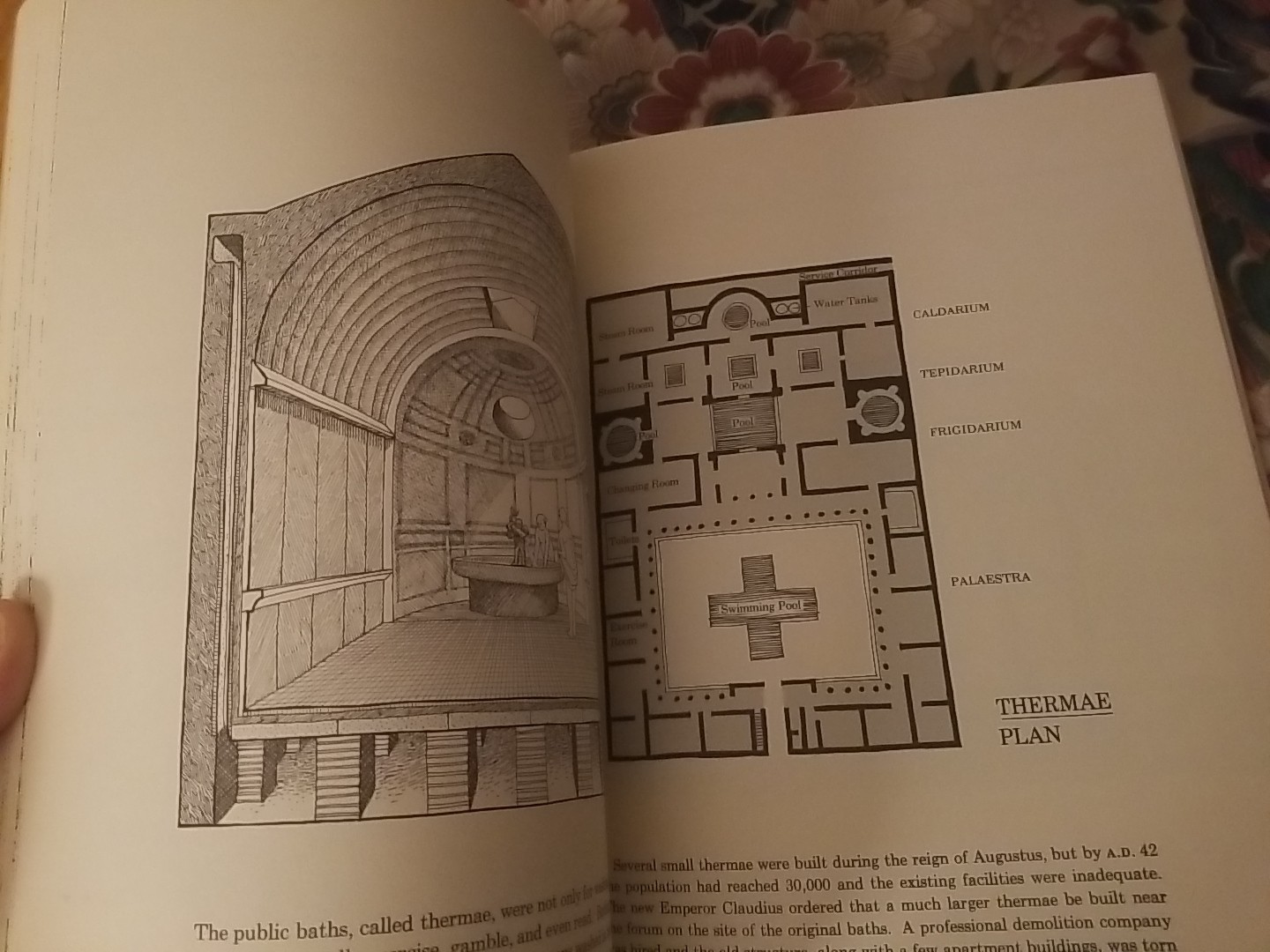 Signed David Macaulay City: A Story of Roman Planning Construction 1974 PB