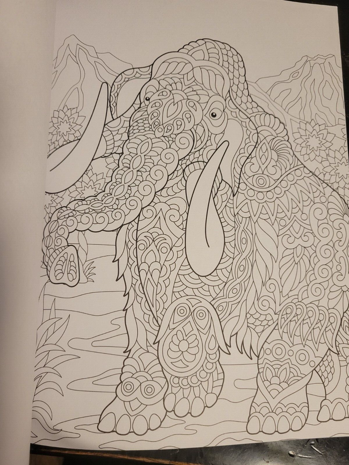 MAJESTIC CREATURES Vol 13 Adult Coloring Book With 47 Prints Ready To Frame