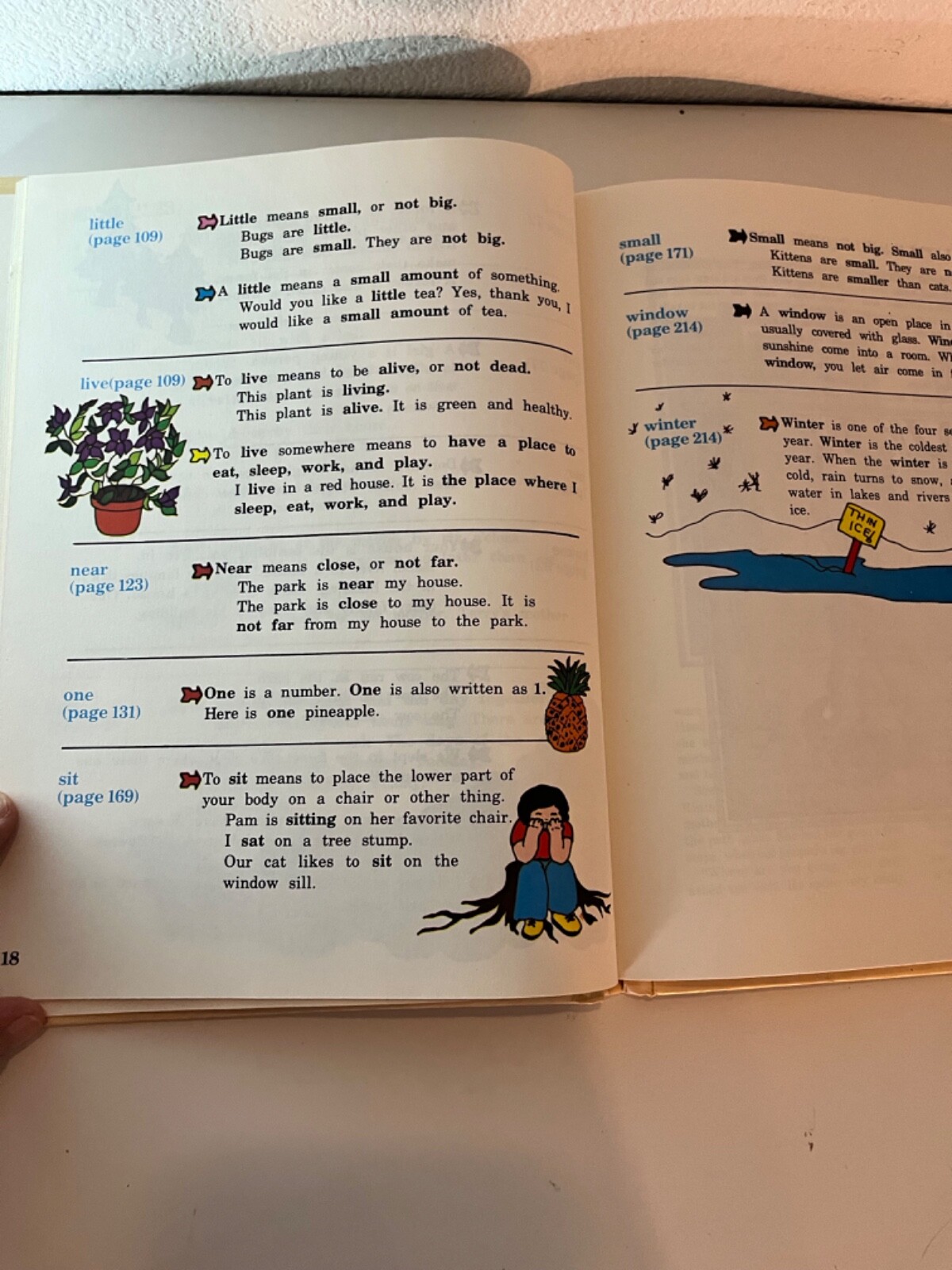 My Storybook Dictionary 349 Pages Hardcover Vinta