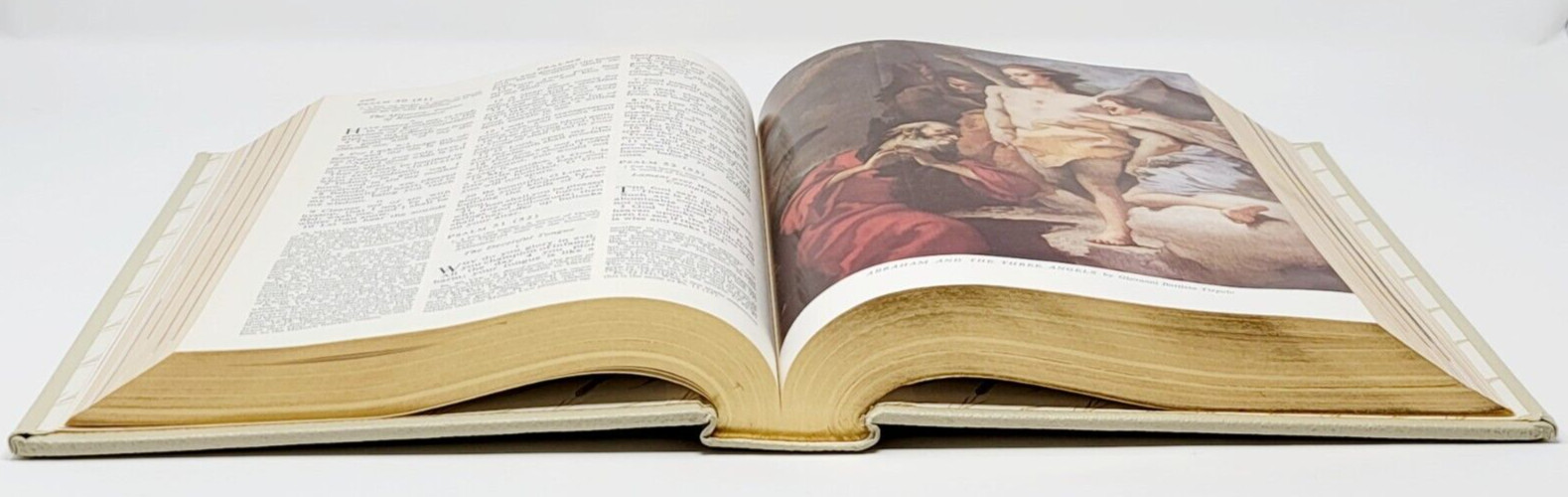 1996 The Holy Bible Catholic Version by J.G Ferguson Publishing Co Leather Bound