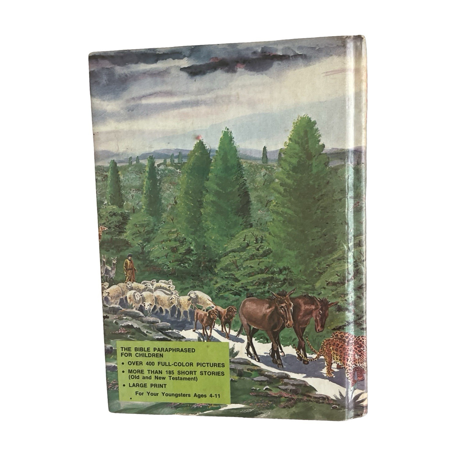 Nelson’s Picture Bible J. F. Allen 1973 Hardcover Children Religious Education