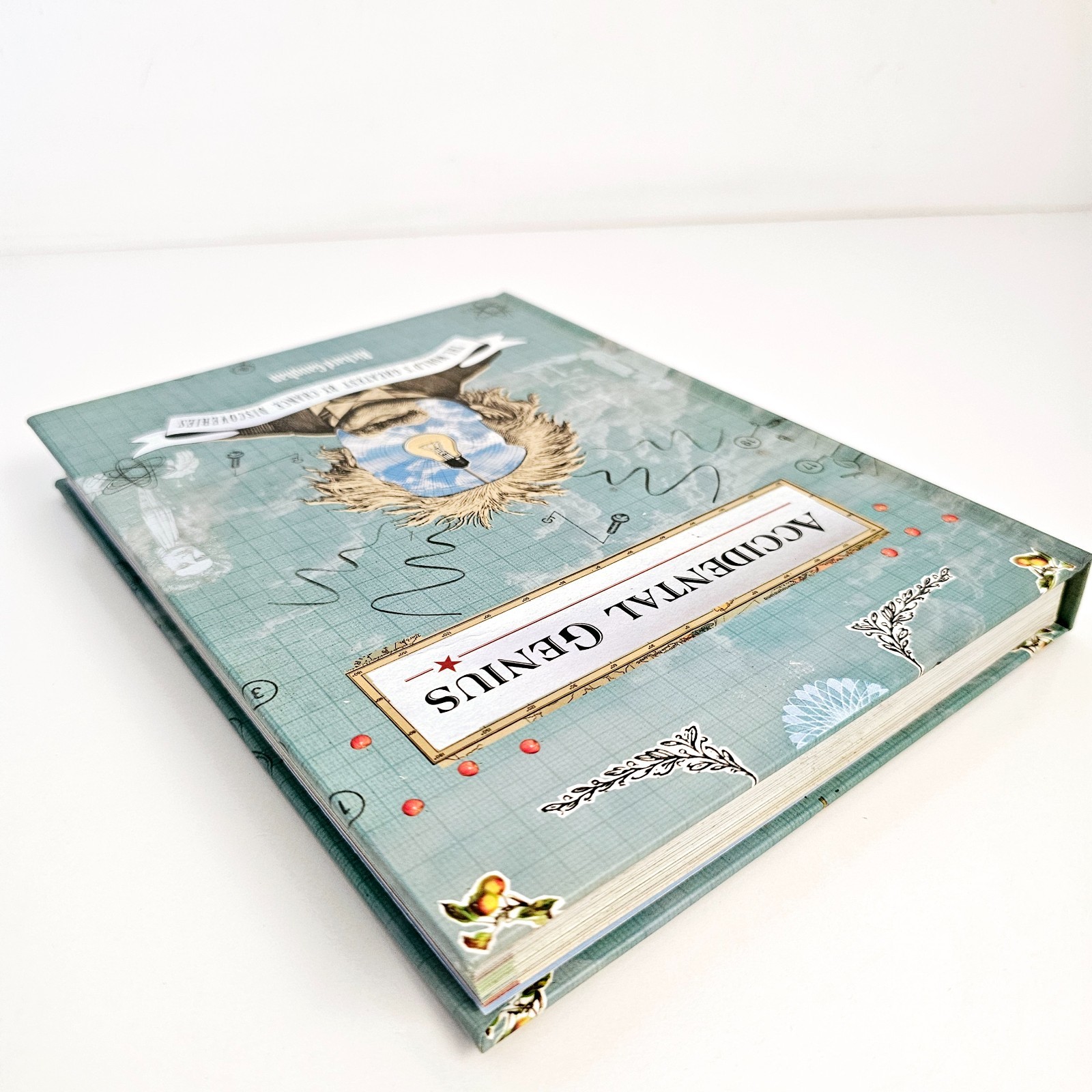 Accidental Genius Richard Gaughan Hardcover by chance discoveries Free Postage
