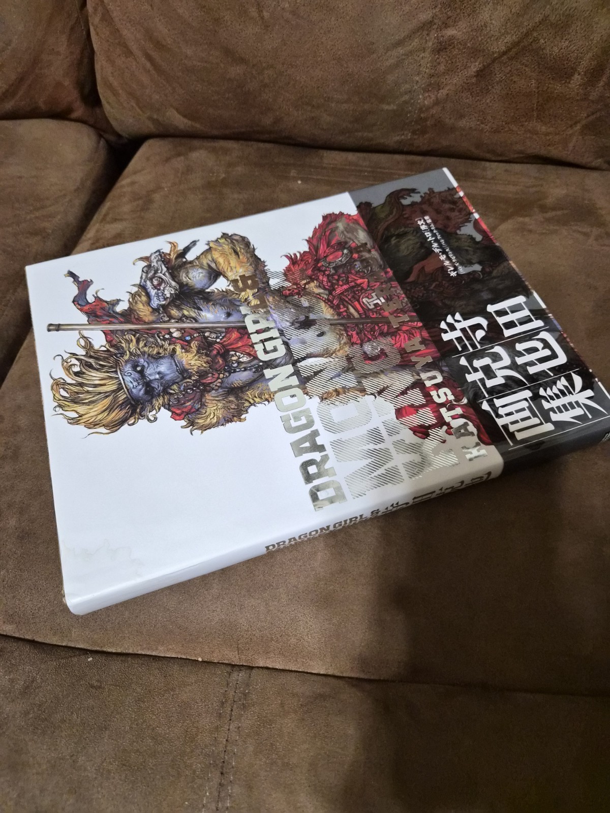 Dragon Girl and Monkey King The Art Of Katsuya Terada Japanese Art Book Comics