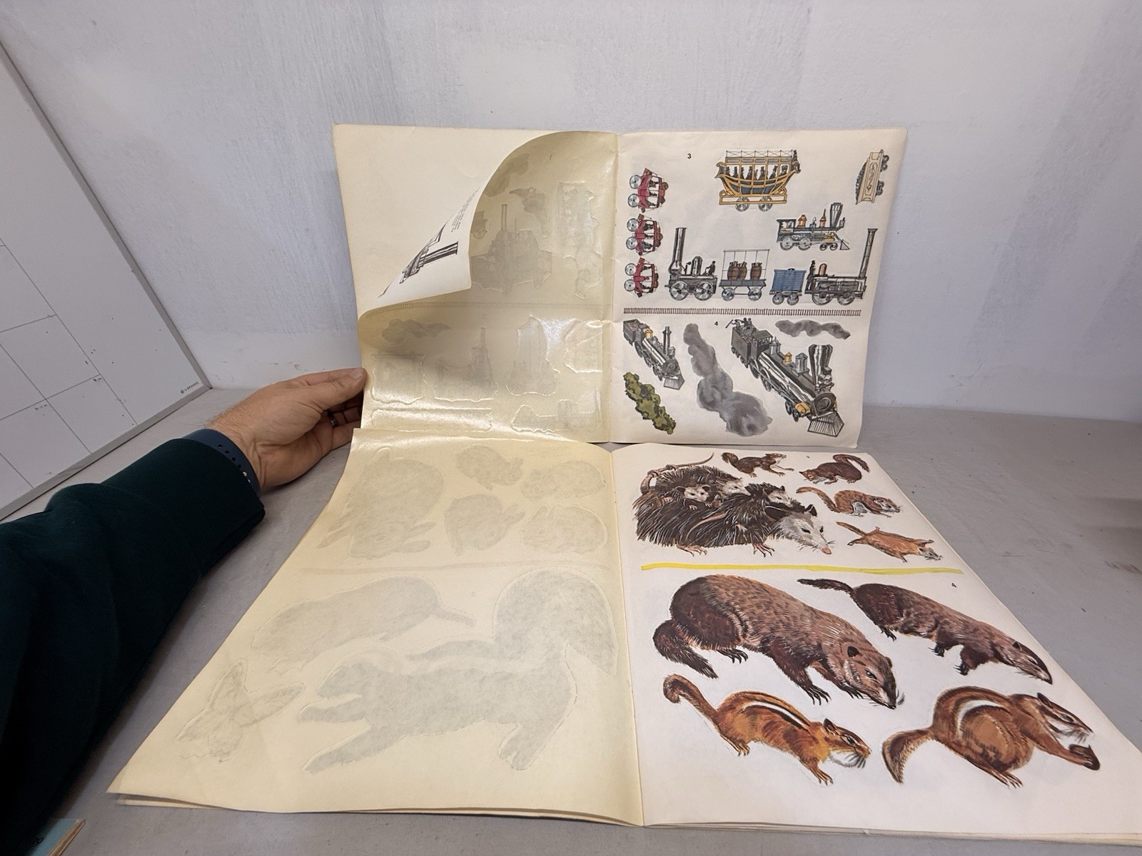 (2) Whitman Discover Trains & Discover Wildlife Sticker Fun Book Unused 1970s