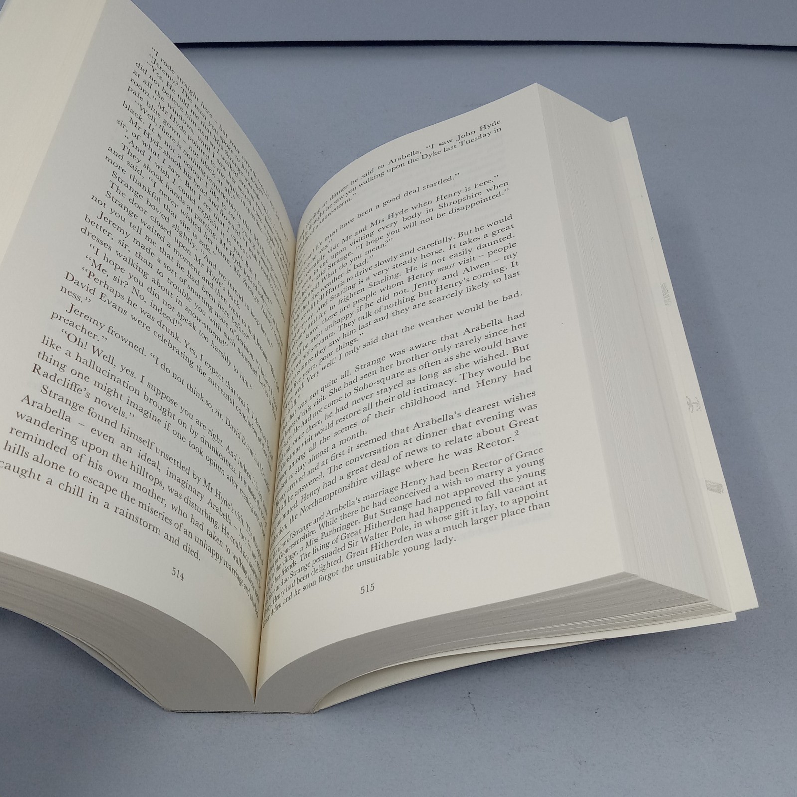 Jonathan Strange & Mr Norrell: A Novel 2020 Paperback by Susanna Clarke