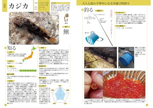 Fish & Fishing Guide 672 Pages: Species ID,Tackle & How to Clean (Japanese Book)