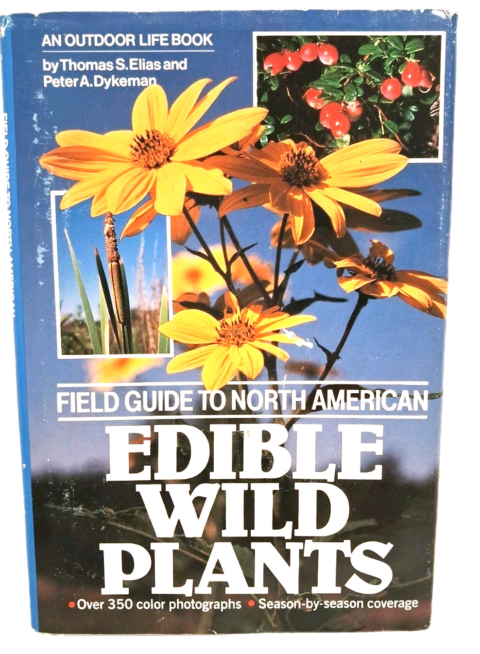 Lot of BOOKS on Homesteading & Prepper SKILLS, HERBS, Gardening, Vinegars, More