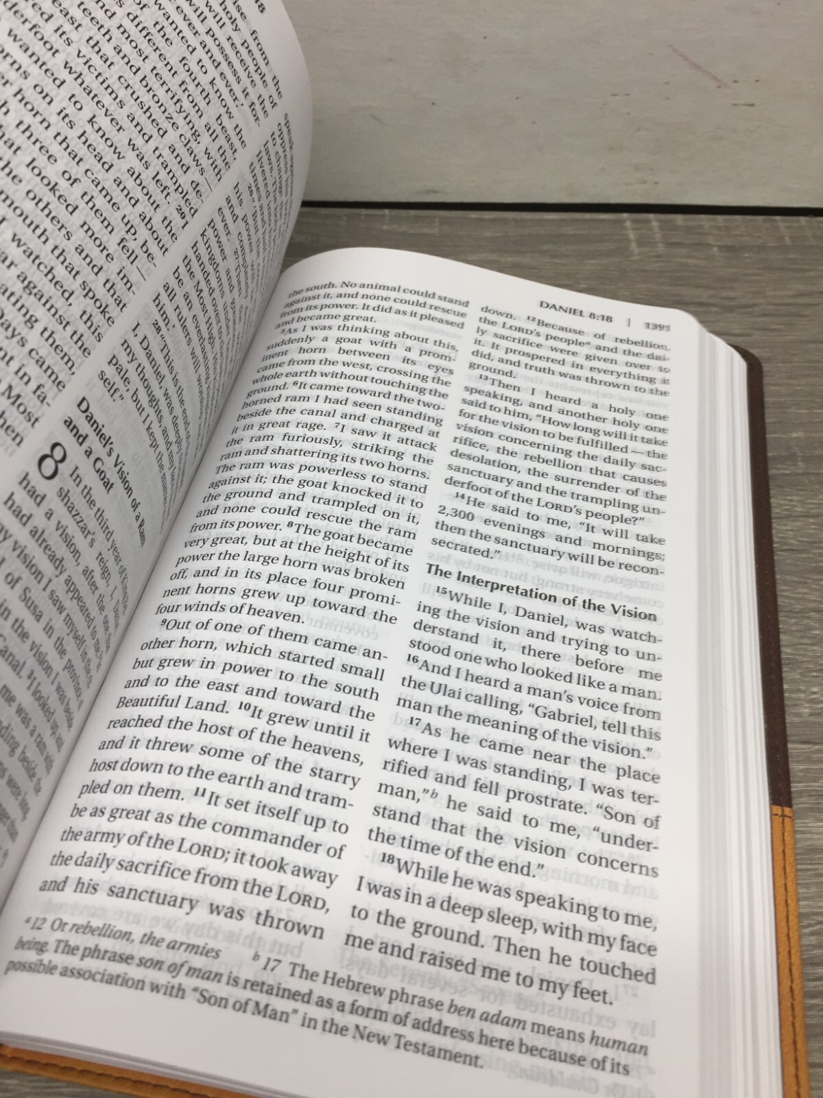 NIV Church Holy Bible, Large Print By Zondervan (2011, Leather) GOOD