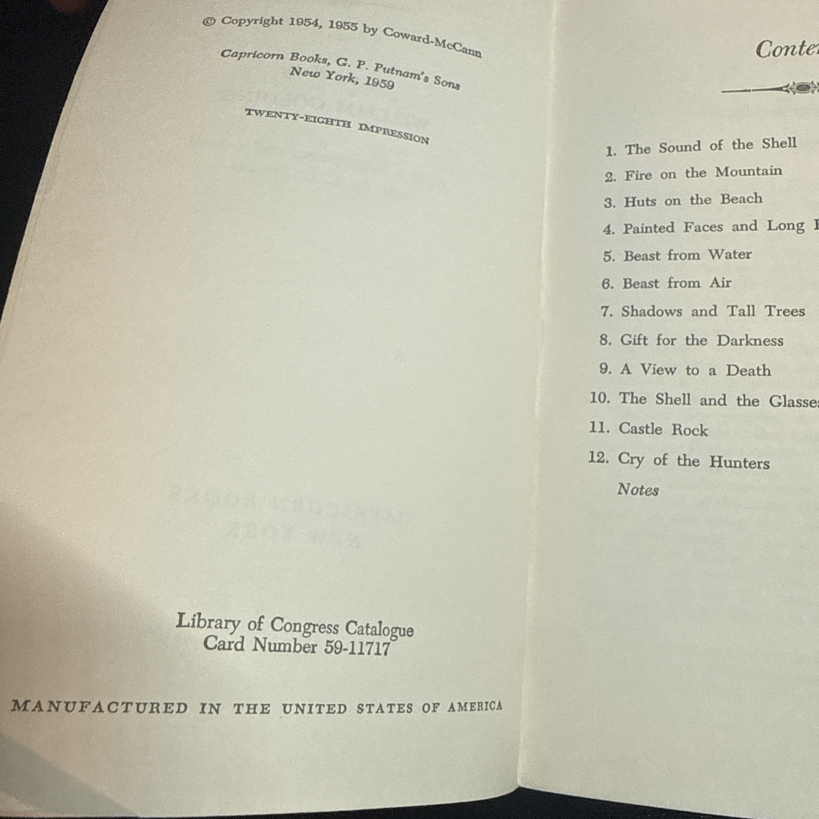 VTG 1959 Lord of the Flies William Golding Capricorn Books Paperback $1.25 Copy