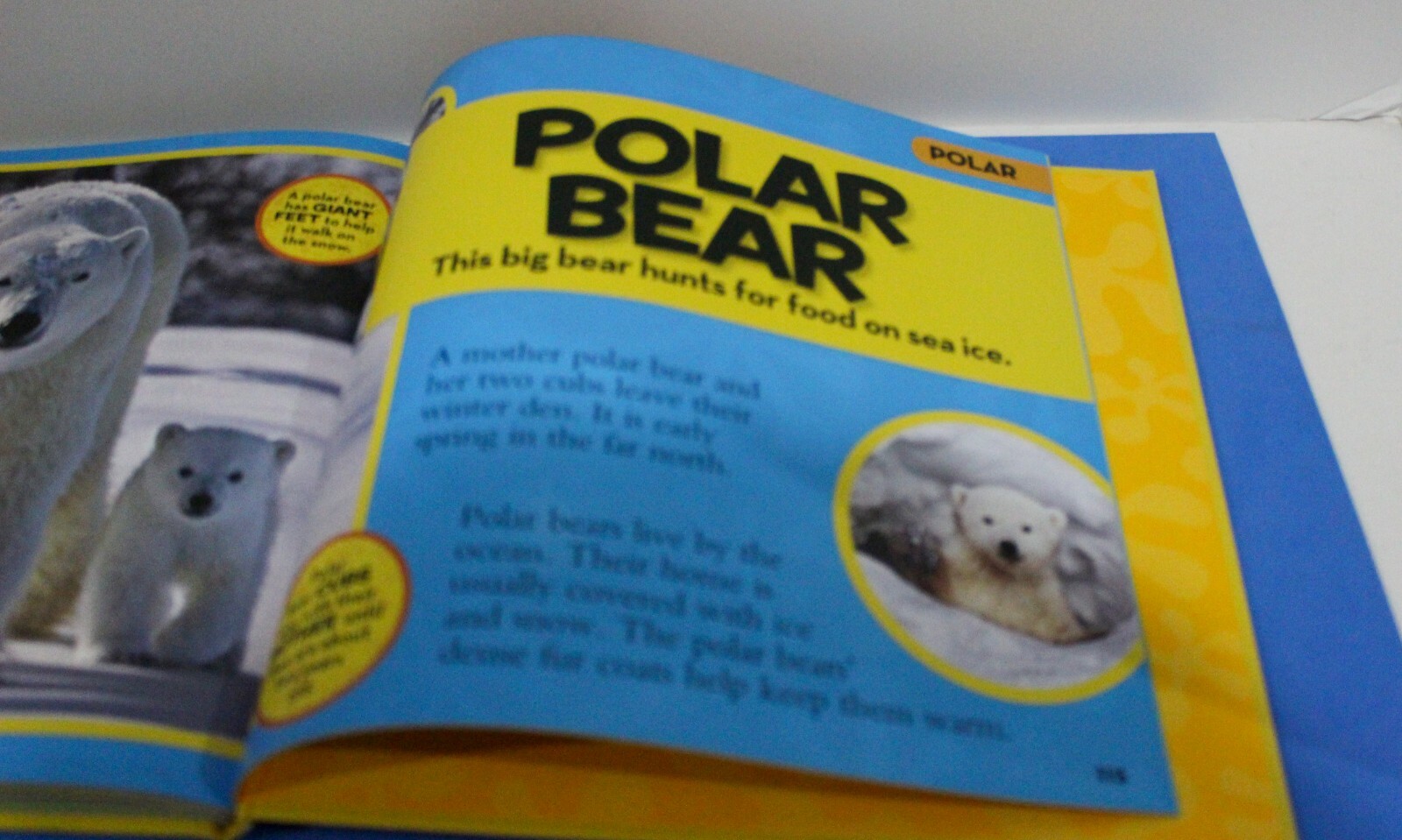 National Geographic Little Kids First Big Book of Animals by Catherine Hughes