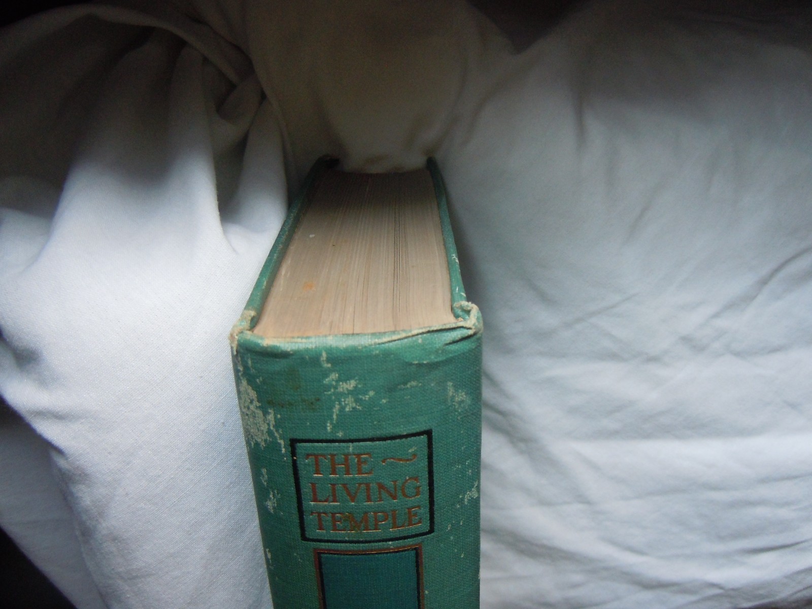 First Edition The Living Temple (1903) by John Harvey Kellogg inscribed promo