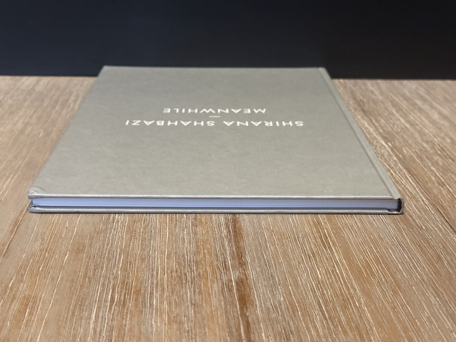 Shirana Shahbazi: Meanwhile by Shirana Shahbazi 2008 Hardcover / DJ