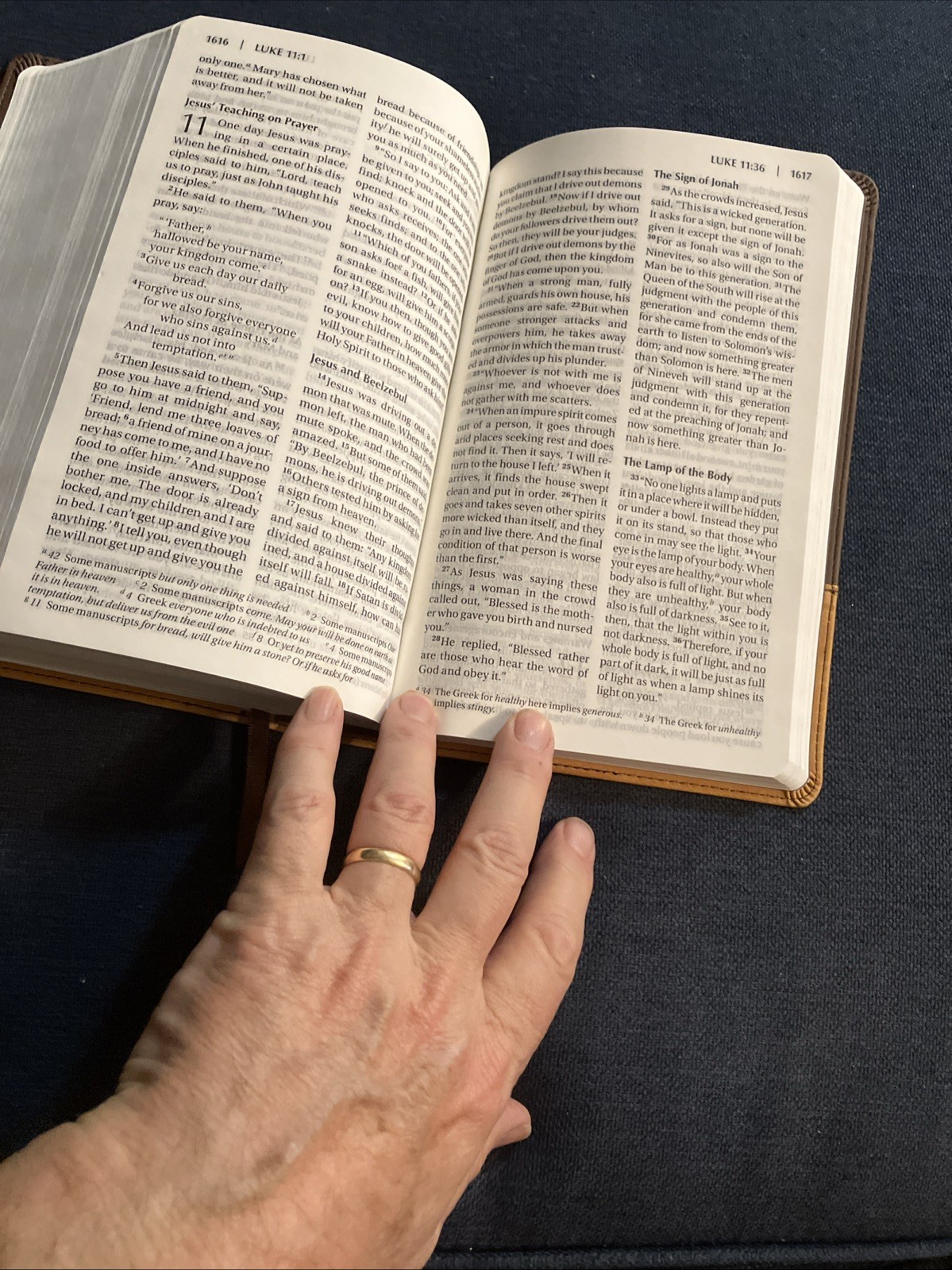 Holy Bible NIV Pew Bible, Large Print, 2009 Zondervan, Amber Duo-Tone Leather