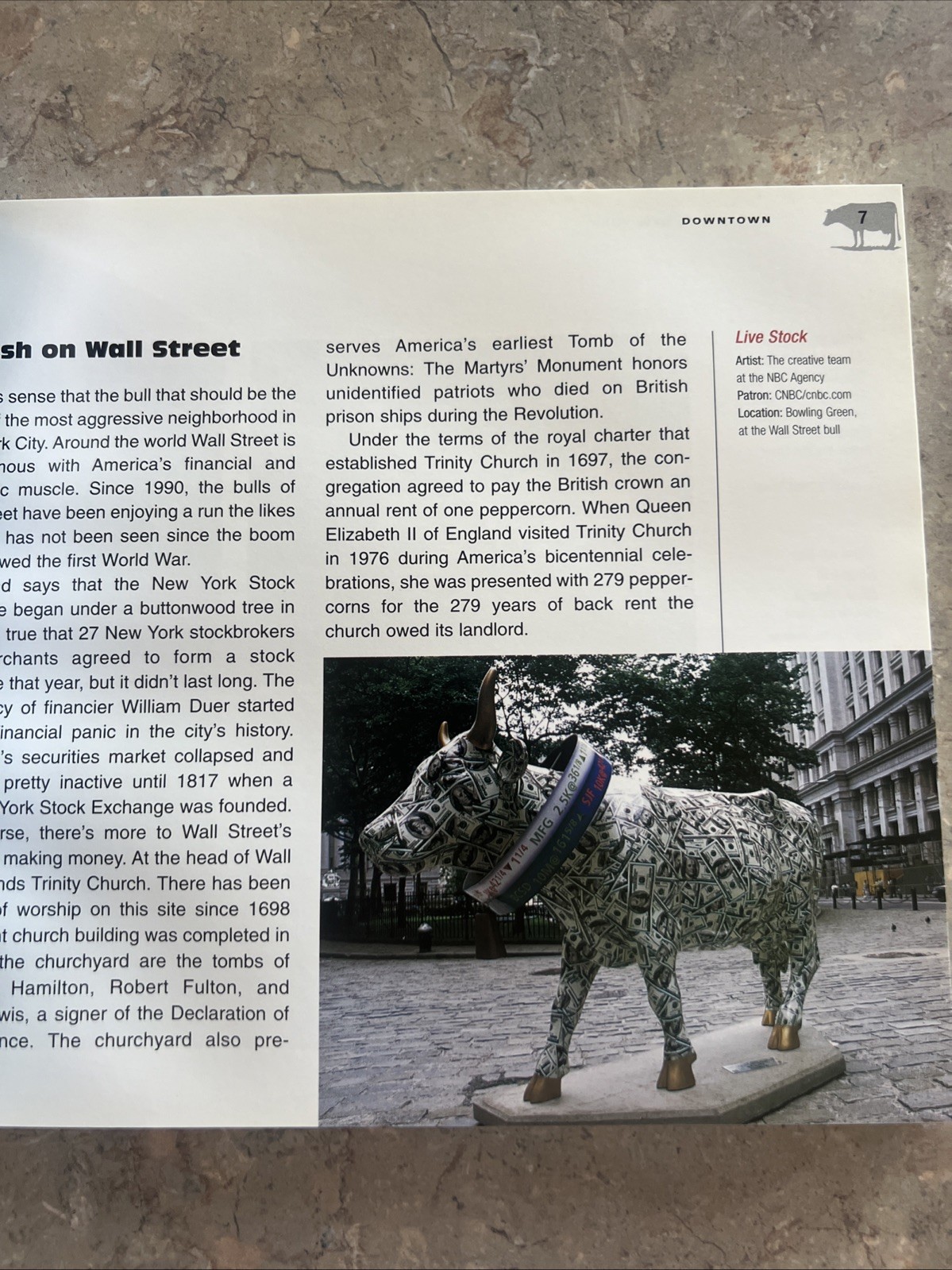 CowParade New York By Craughwell, Thomas J. Hardcover