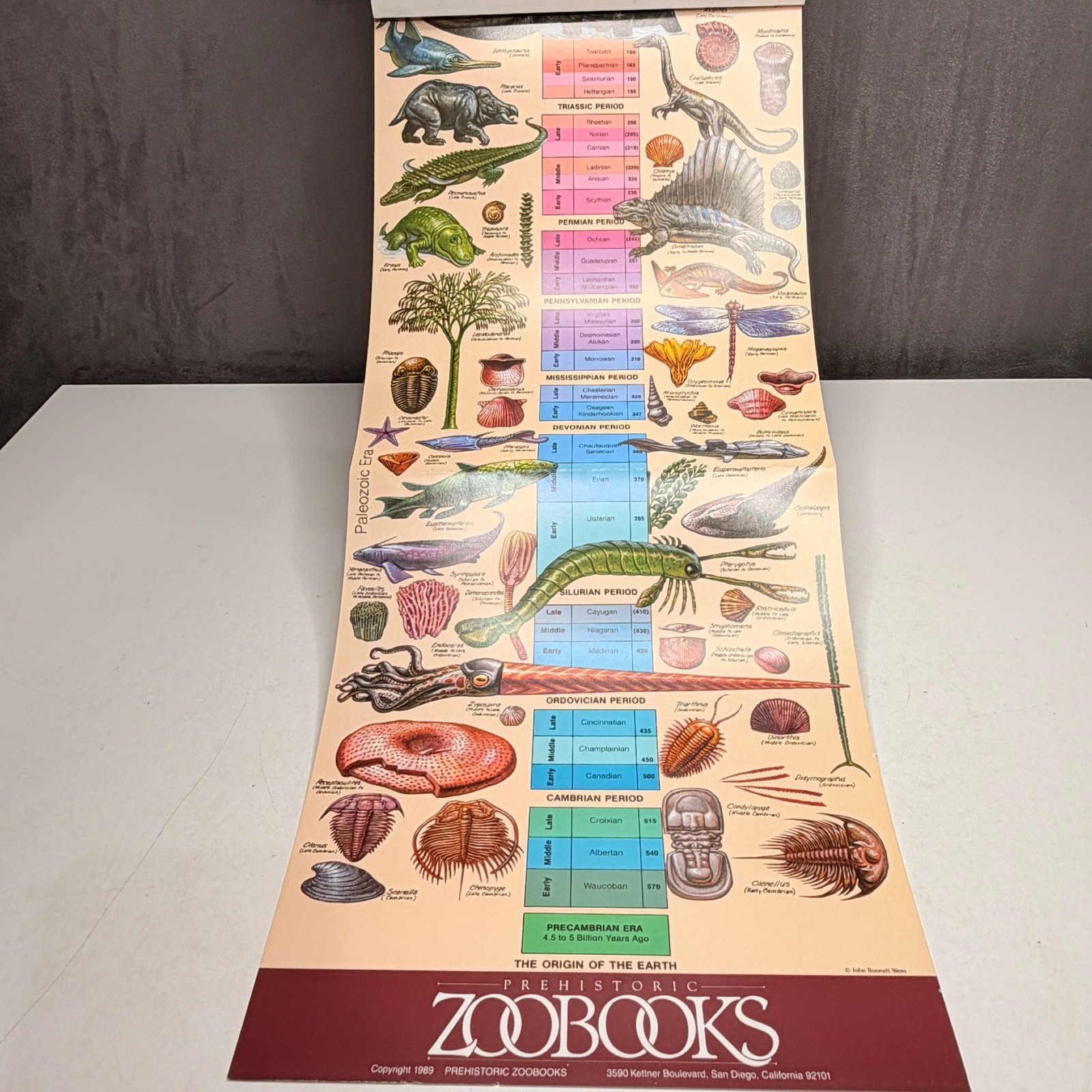 Prehistoric ZOOBOOKS 1989 First Edition Family Guide Case Book Set 1-10 Poster