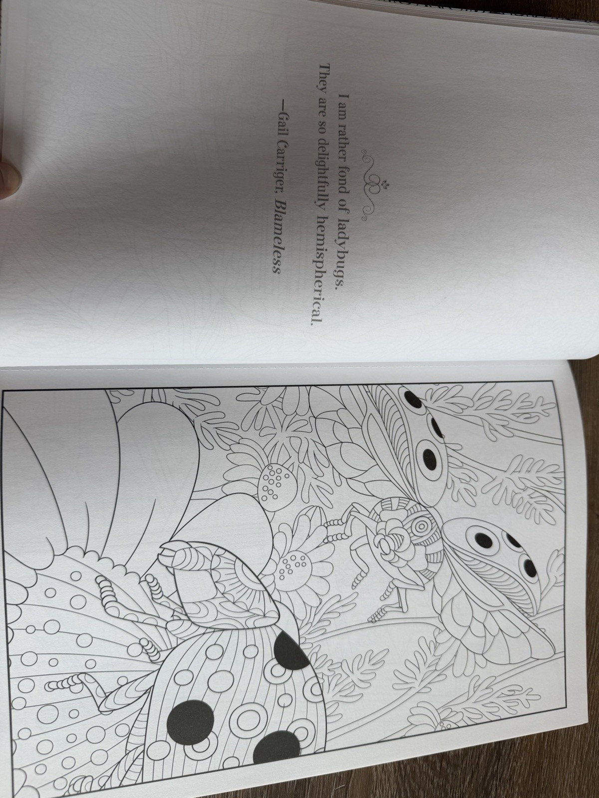 COLORFUL ESCAPES – The Colors of Summer! Vol. 25 – Adult Coloring Book- 31 Pages