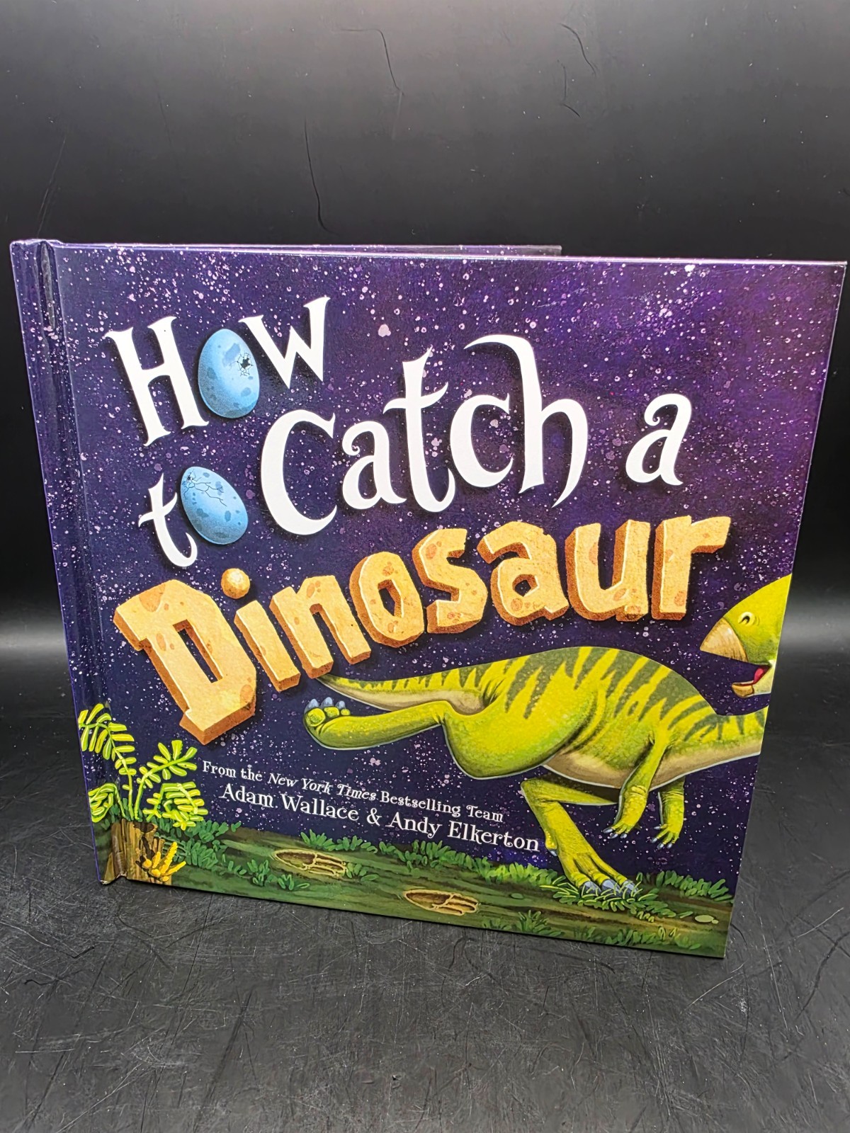 How to Catch a Dinosaur by Adam Wallace (2019 Picture Book)