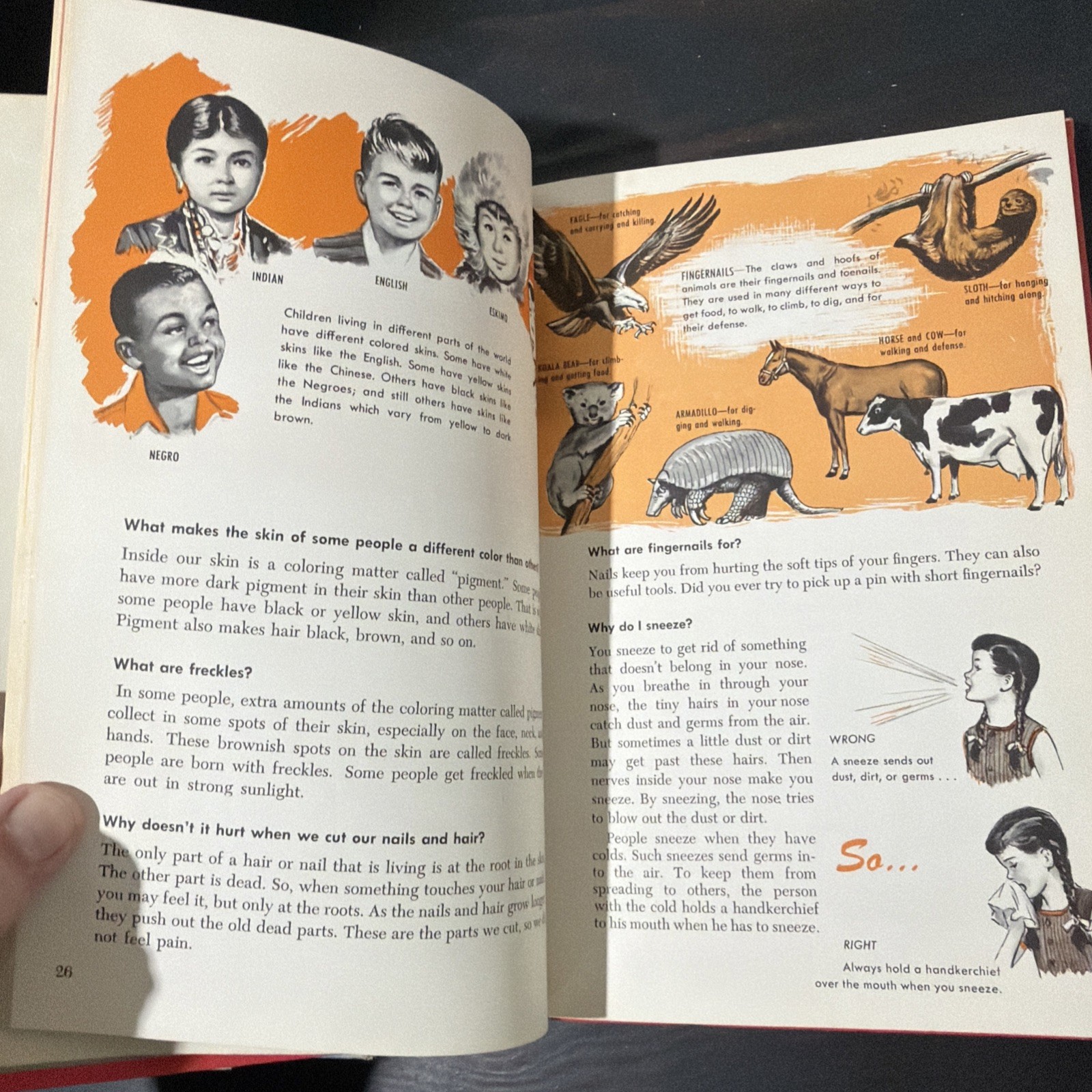 Vintage 1950s Child Horizons Books Lot Set 4 Illustrated Children’s Series