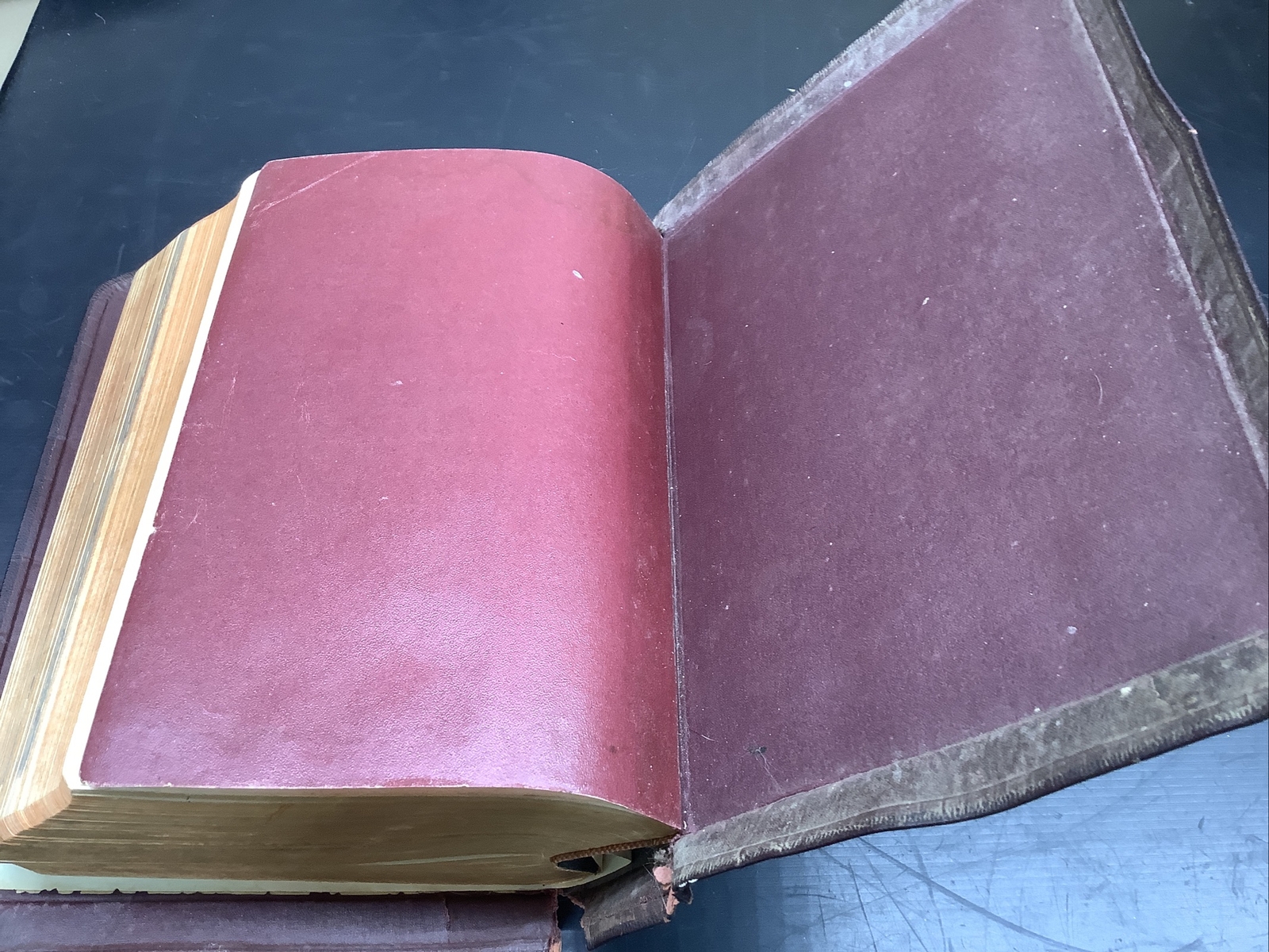 The Catholic Press Family Edition of the Holy Bible 1950 John P O’Connell