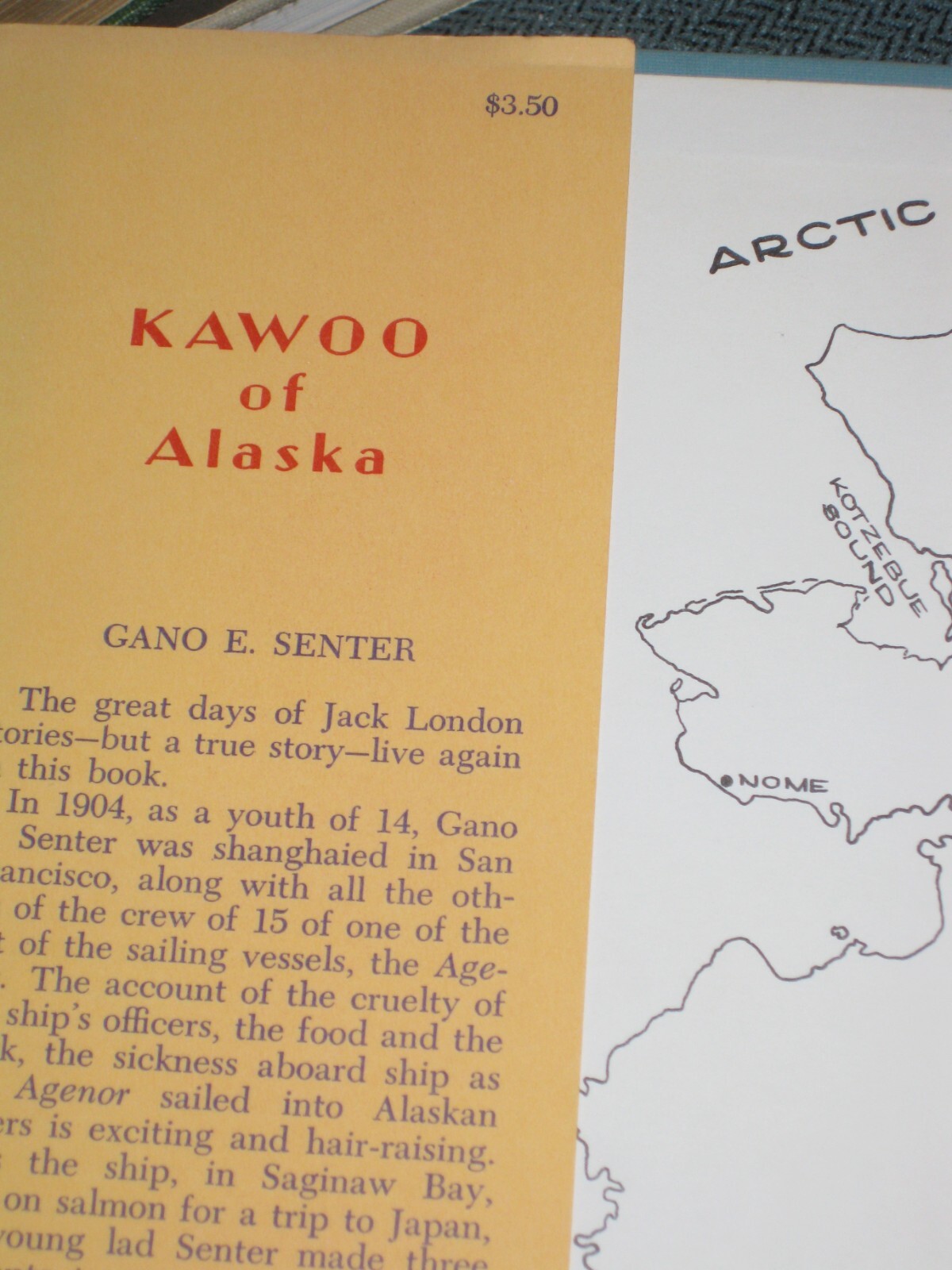 Kawoo Alaska Gano Senter Shanghaied Escape Tlingit Indian Captive Whaler Klondik