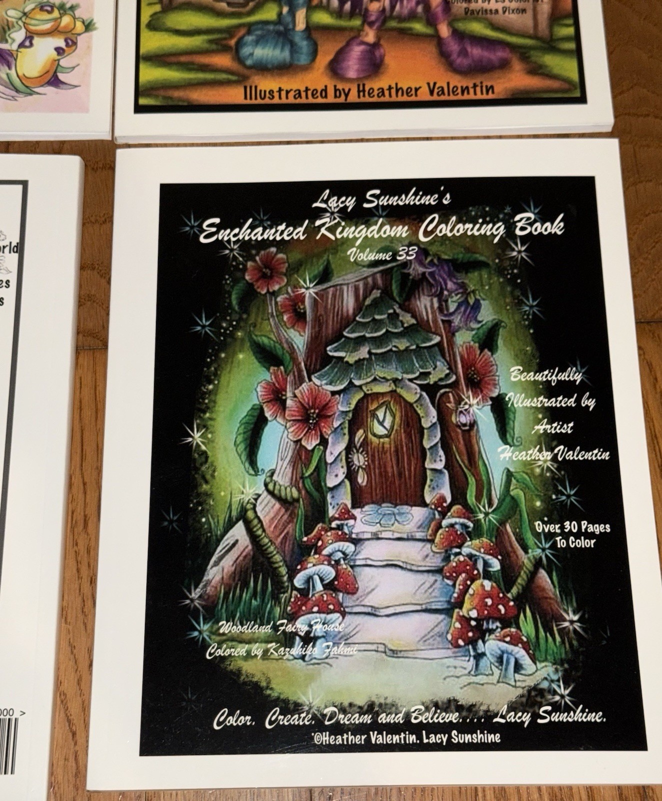 4 Adult Coloring Books: Heather Valentin under the “Lacy Sunshine” brand