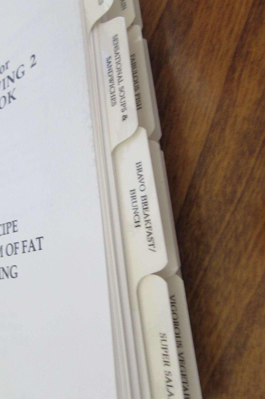 Recipes for FAT FREE LIVING COOKBOOK 297 pages by Jyl Steinback