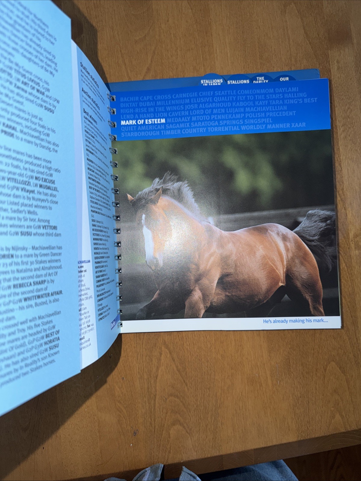 Darley Stallions 2001 Season Book RARE Racing Memorabilia