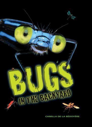 Bugs in the Backyard by de la Bedoyere, Camilla