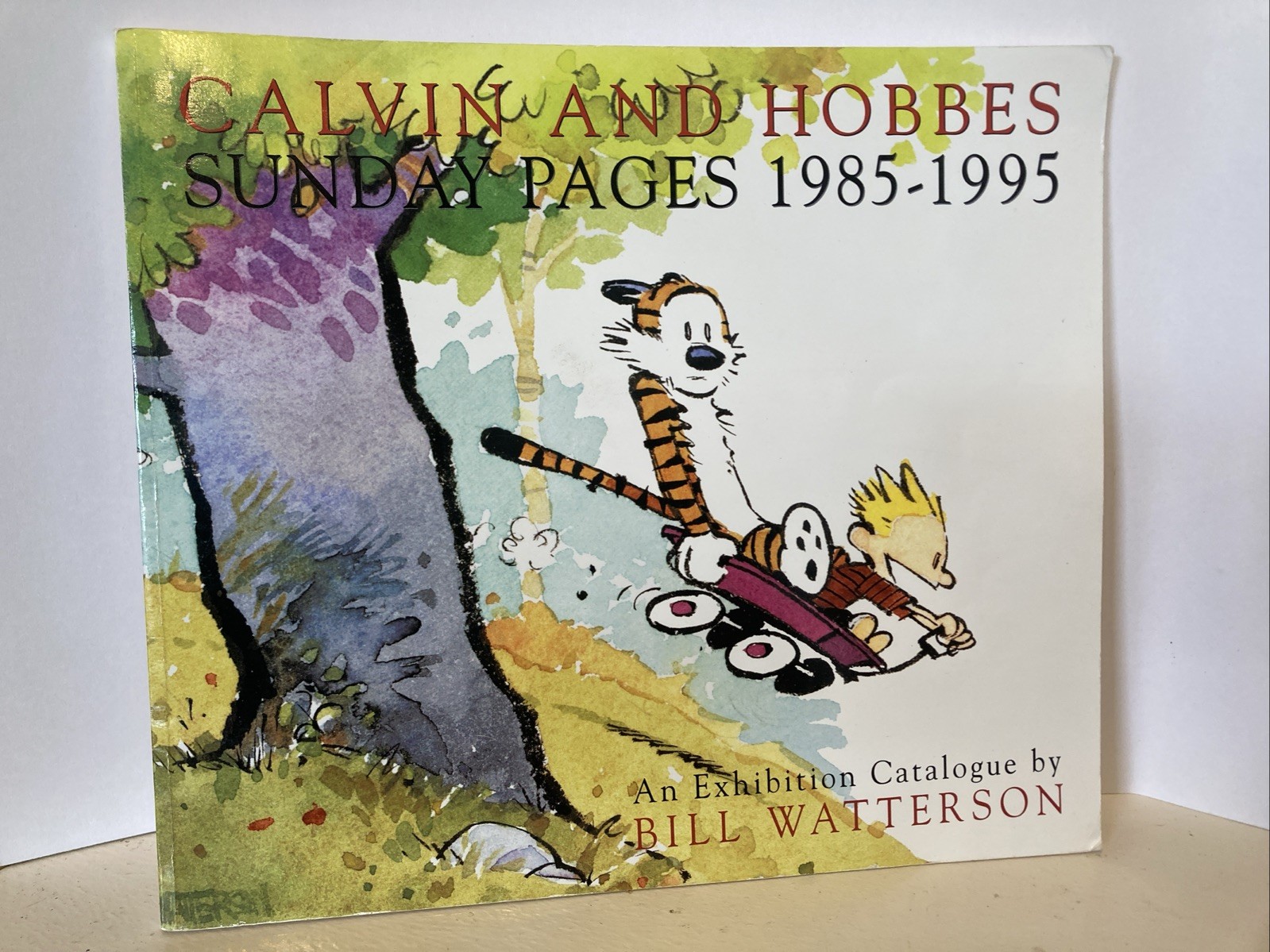 Lot of 15 Calvin and Hobbes Softcover Books by Bill Watterson