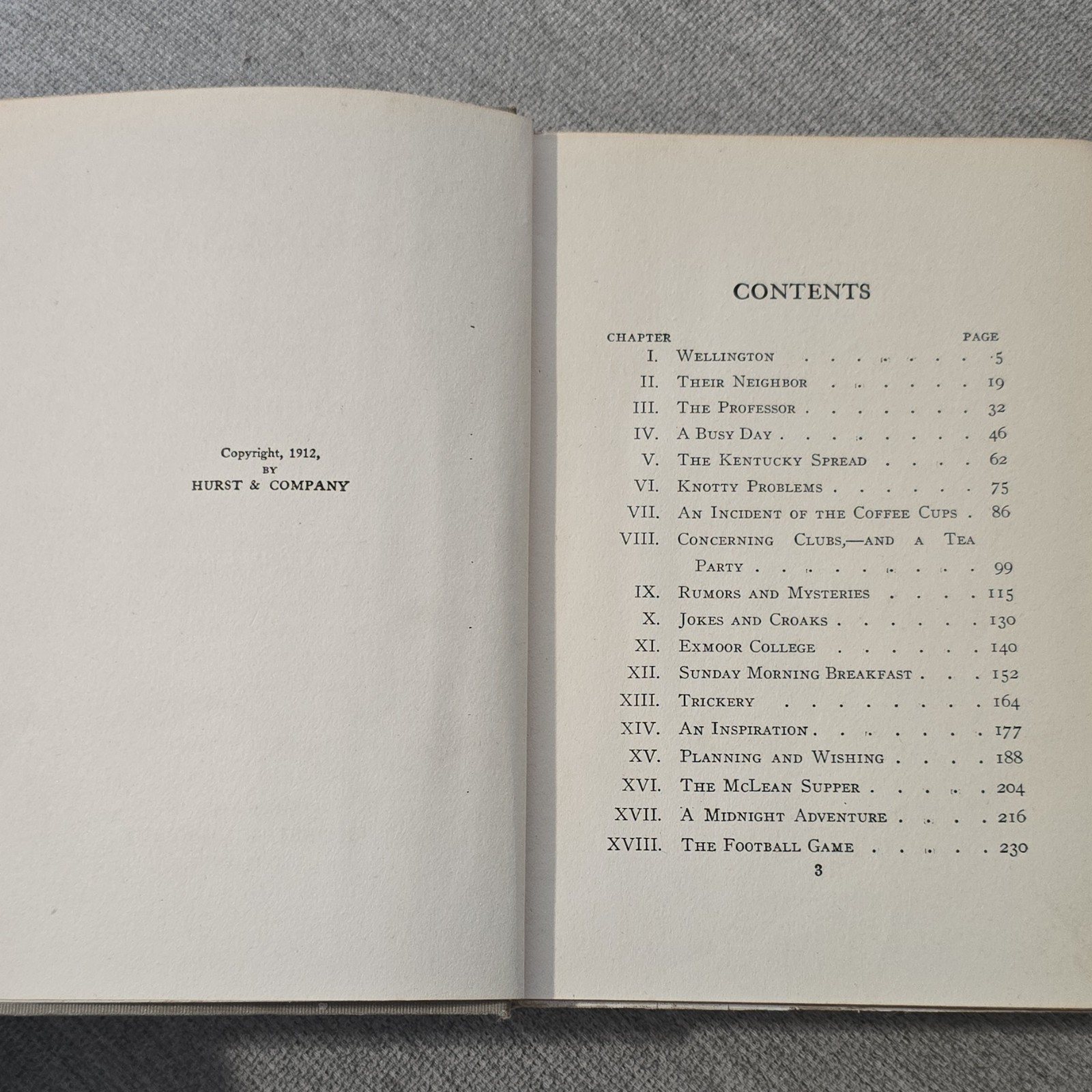 Molly Brown’s Freshman Days Nell Speed Hardcover 1912 Hurst Illustrated