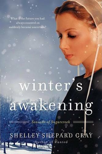 Winter’s Awakening: Seasons of Sugarcreek, Book One – Paperback – GOOD