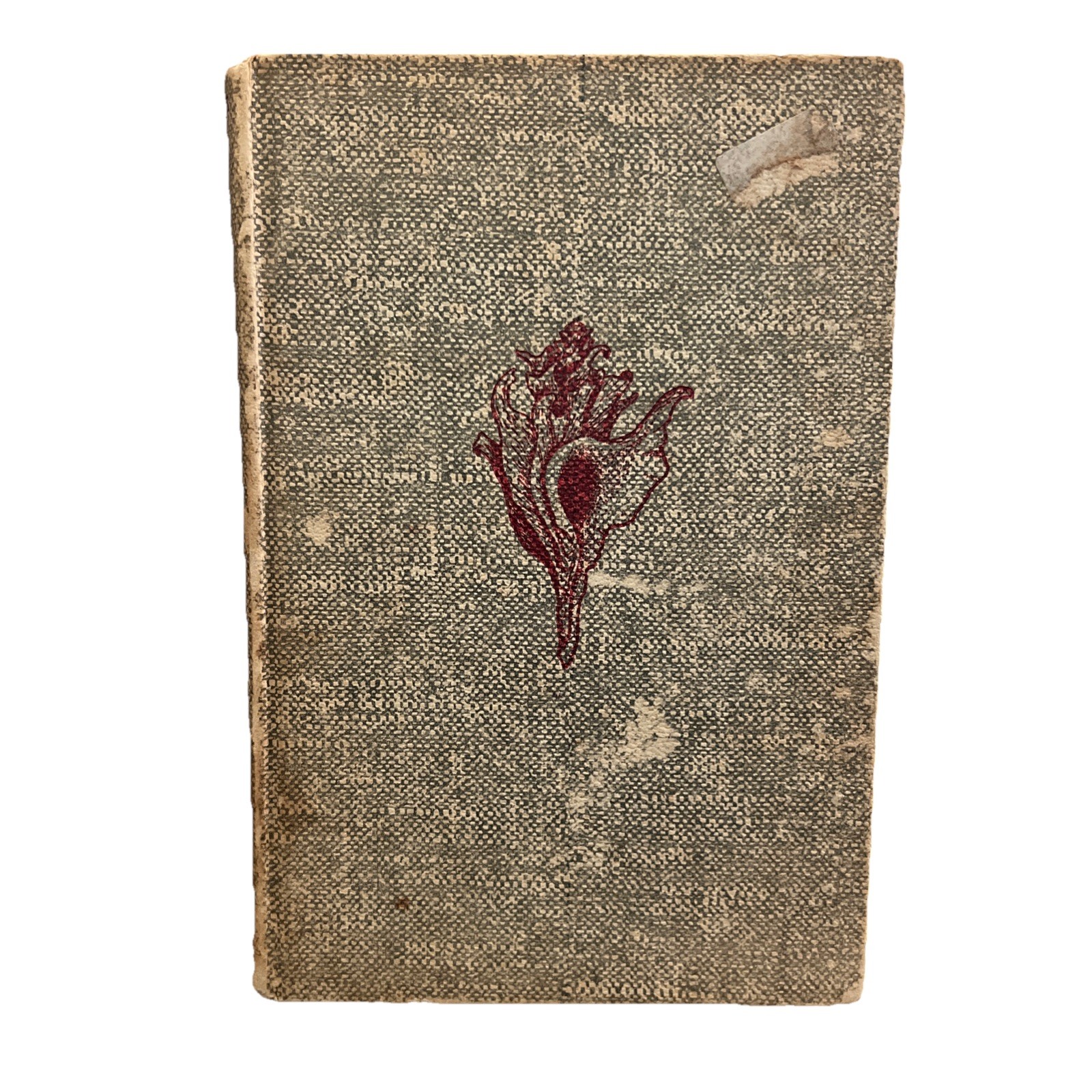Vintage 1936 Strange Sea Shells and Their Stories Book A Hyatt Verrill Hardcover