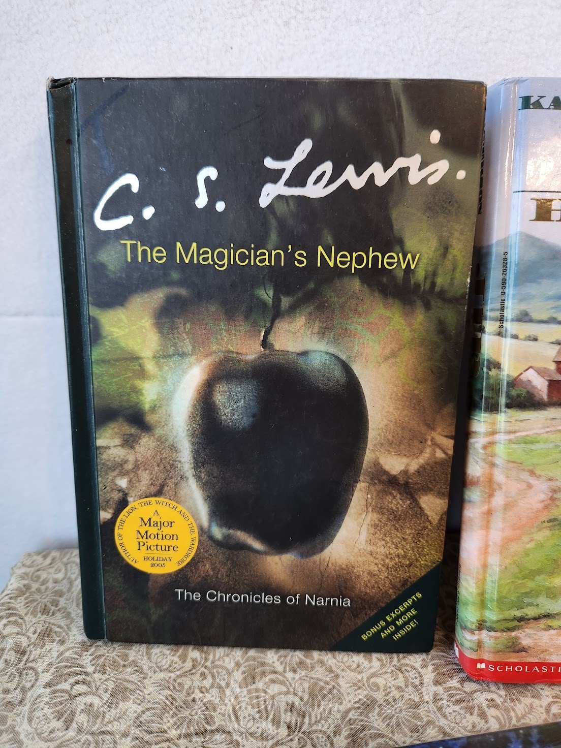 Lot Of 5 Chapter Books for Elementary School Grades 3-6 Ages 8-12