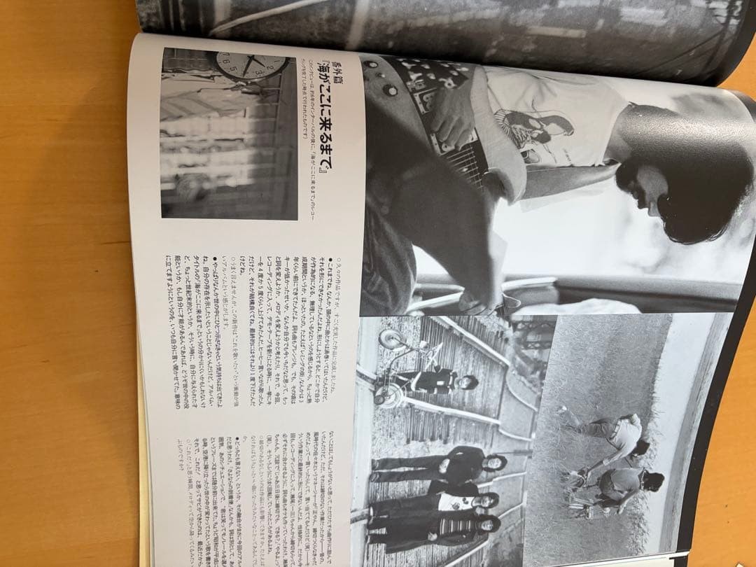 Shozo Ise 1994 Concert Tour Pamphlet 35 Pages, Rare Live Photos & Portraits