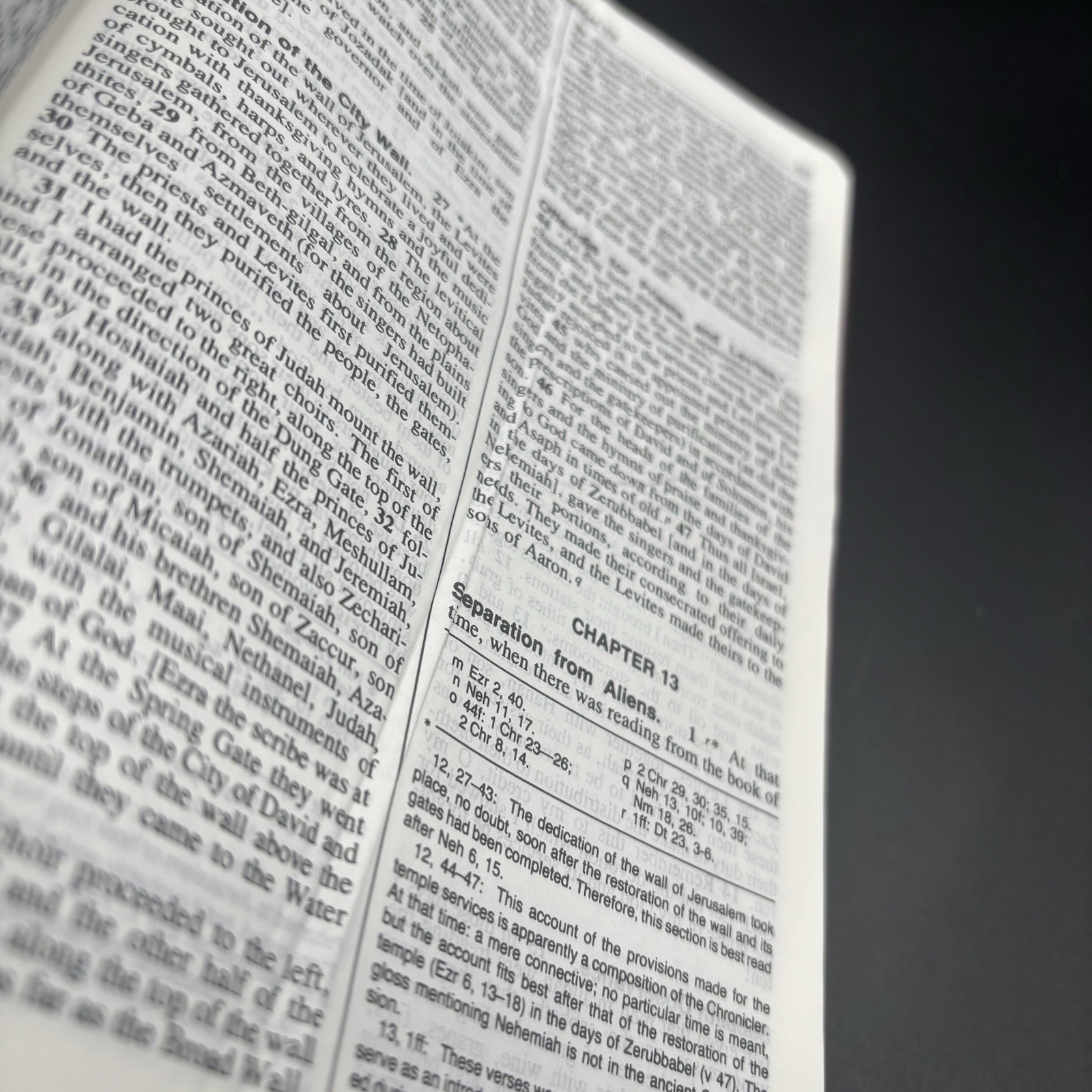 New American Bible Official Catholic Red Letter Edition World Press 2402BG 2000